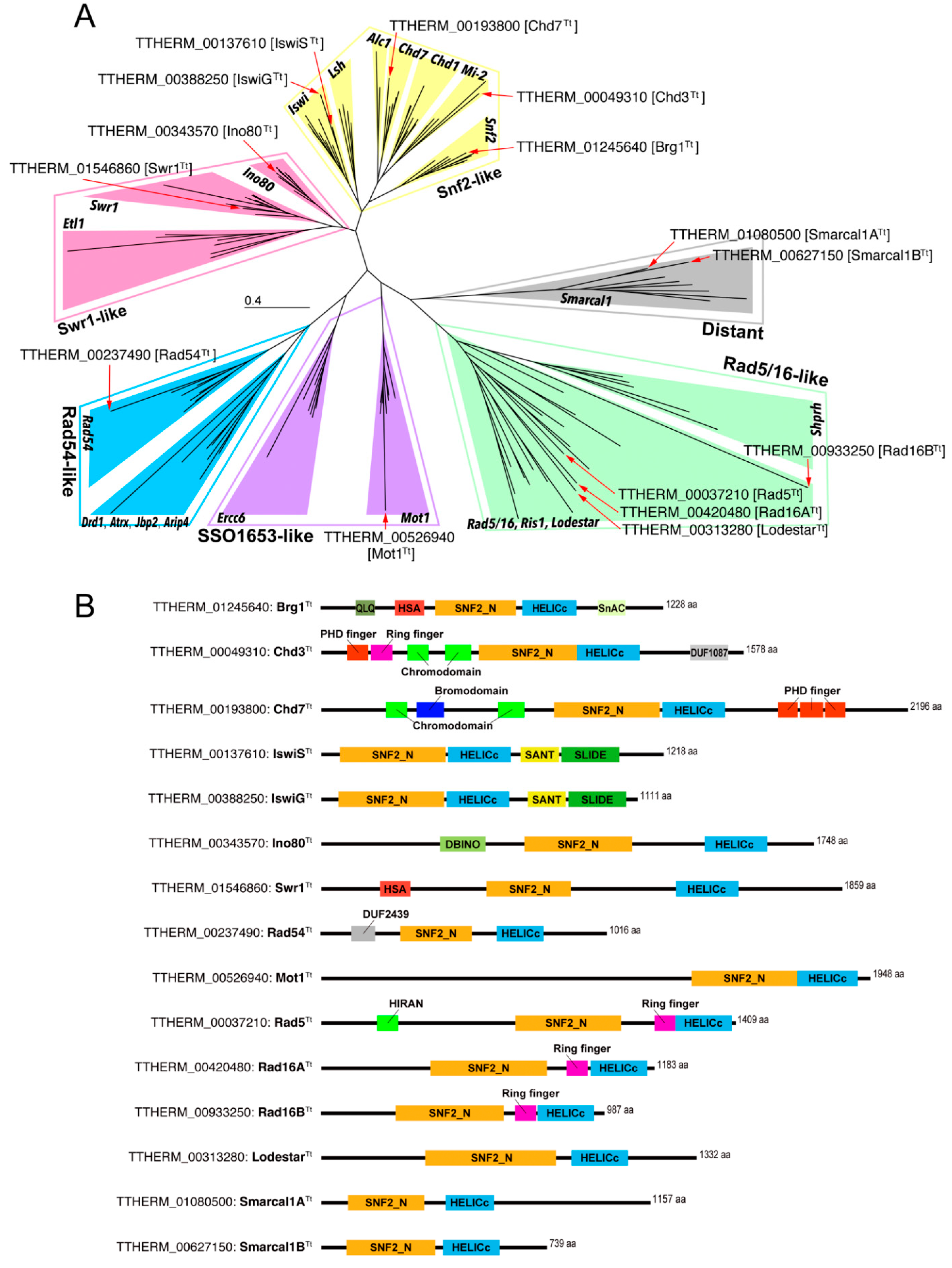 Microorganisms 10 02426 g001