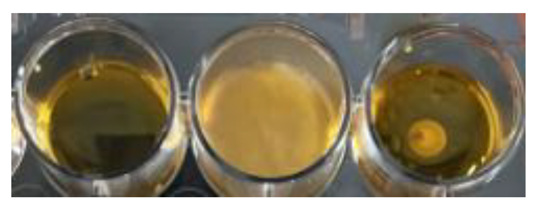 Microorganisms 10 02431 g008