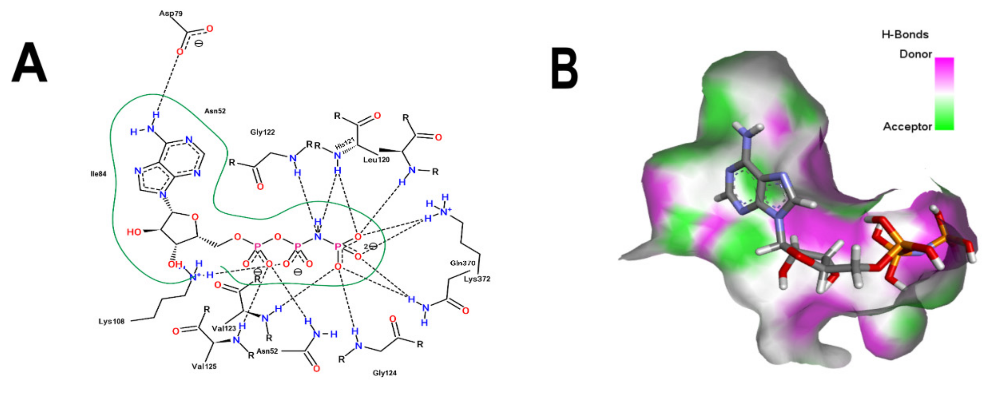 Microorganisms 10 02434 g003 Microorganisms 10 02434 g003