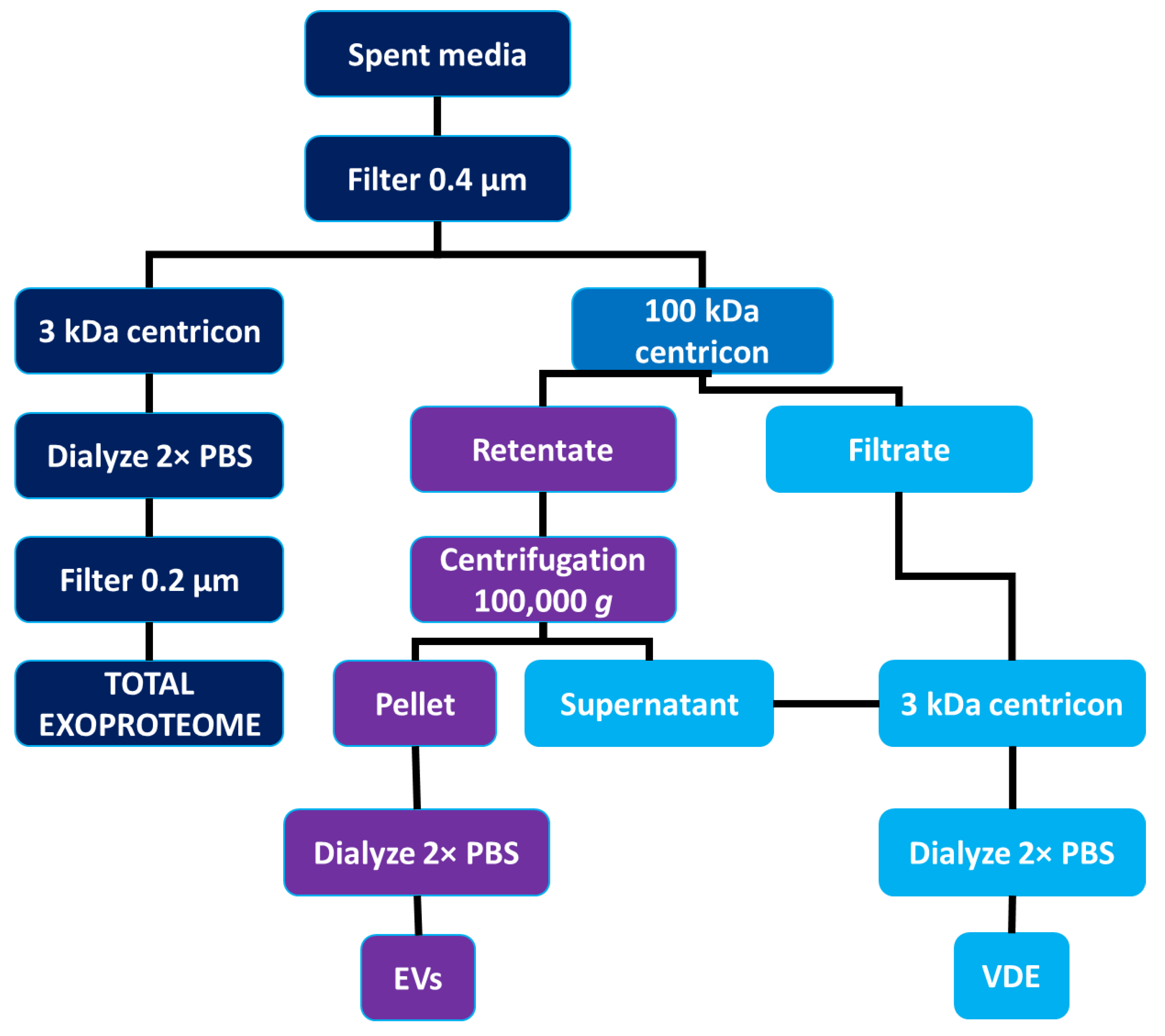 Microorganisms 10 02435 g002 Microorganisms 10 02435 g002