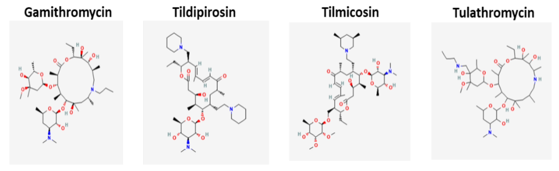 Microorganisms 10 02438 g001