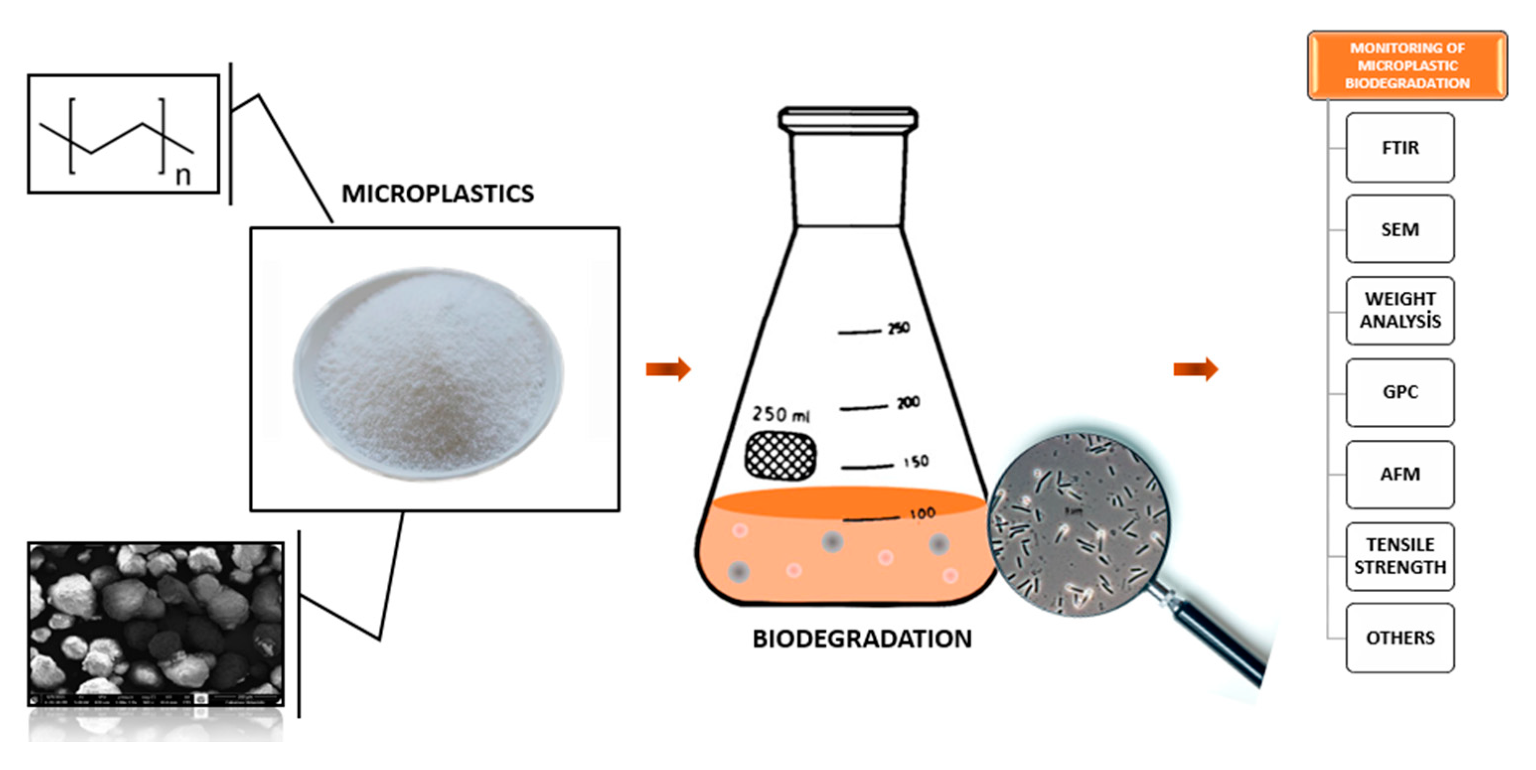 Free FullText Isolation of Thermophilic Bacteria