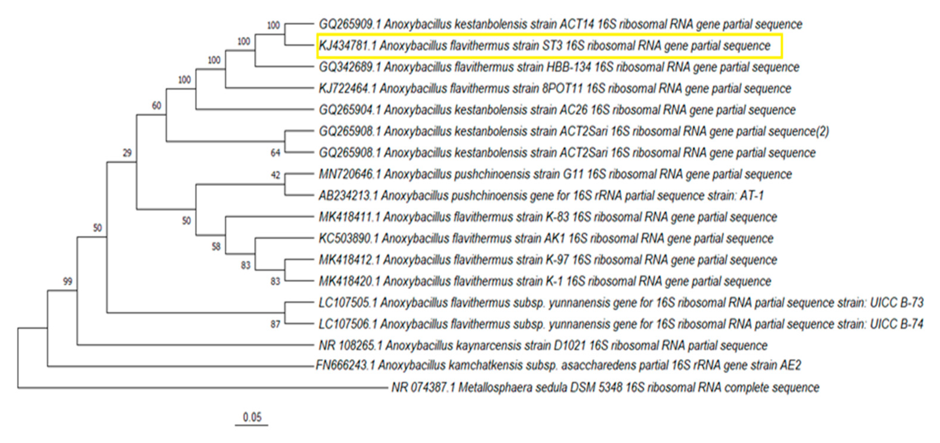 Microorganisms 10 02441 g005 Microorganisms 10 02441 g005