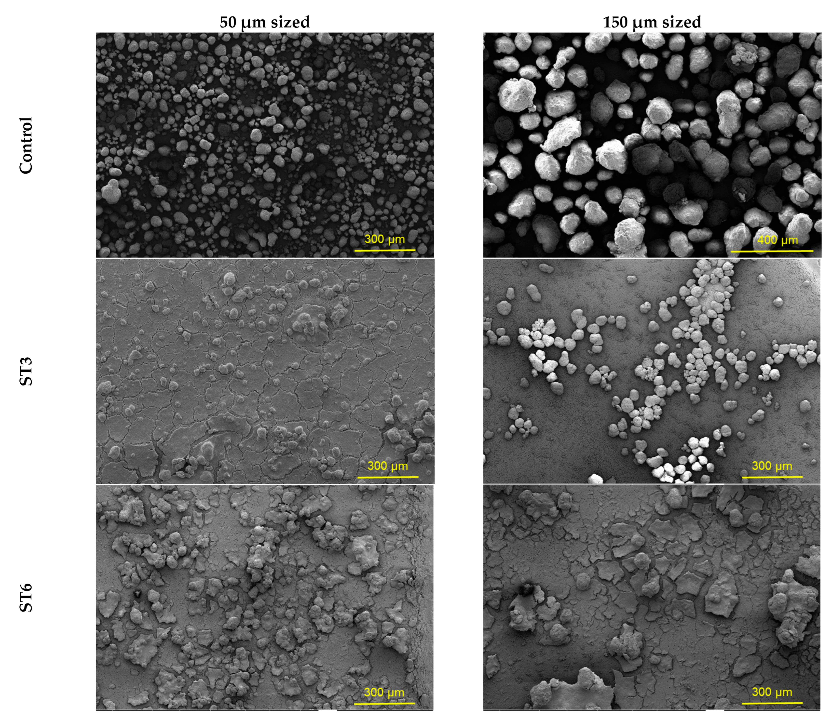 Microorganisms 10 02441 g008 Microorganisms 10 02441 g008