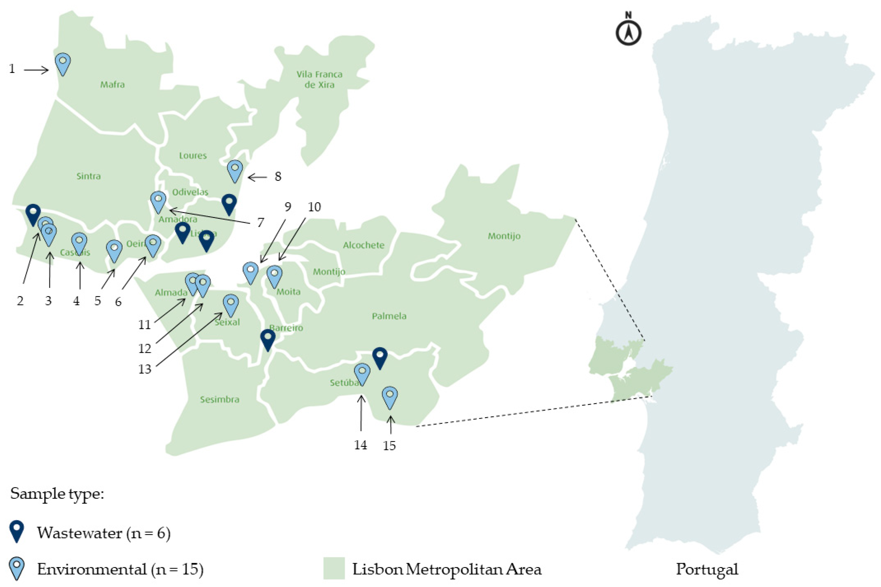 Microorganisms 10 02443 g001