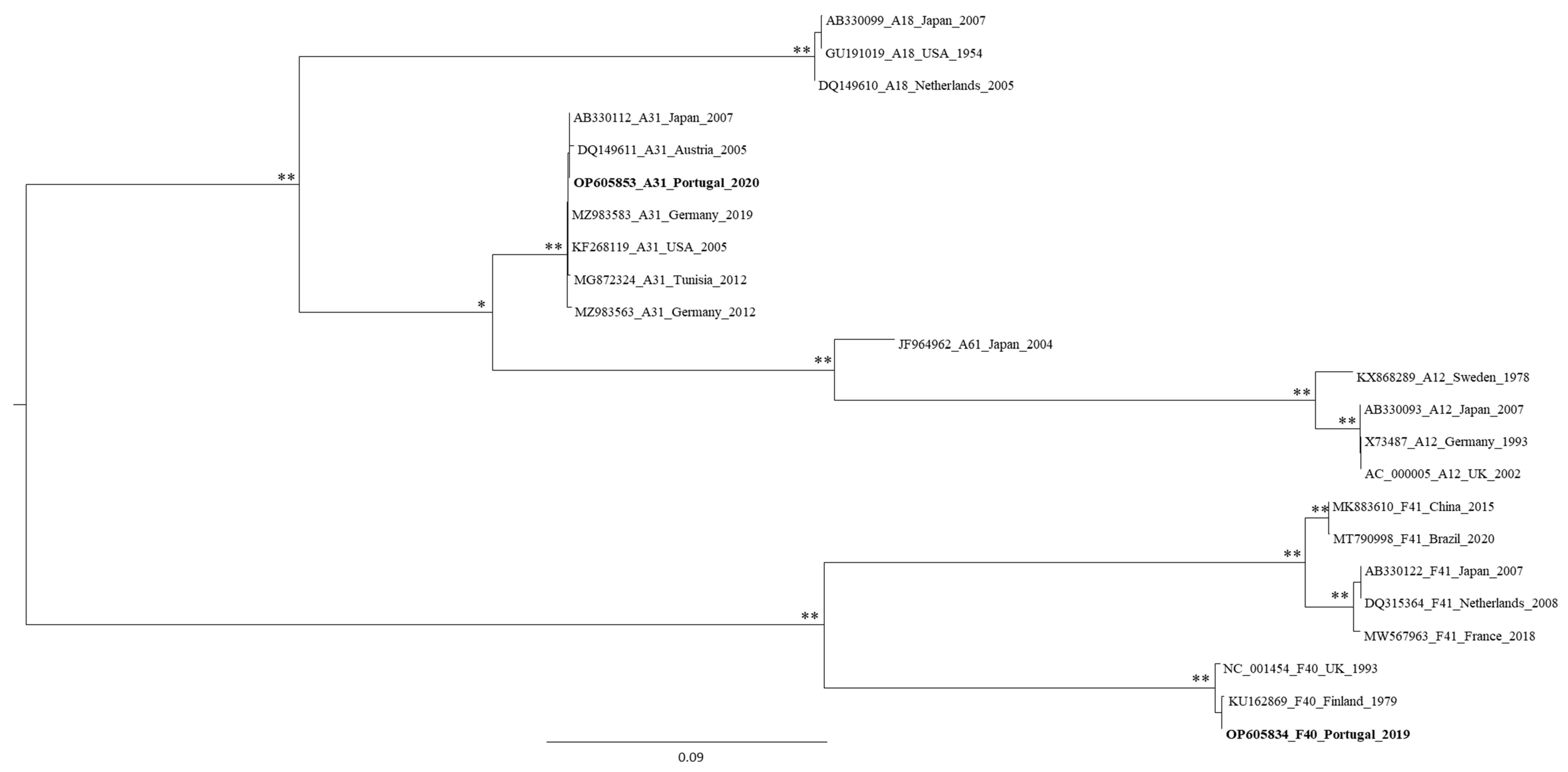 Microorganisms 10 02443 g005