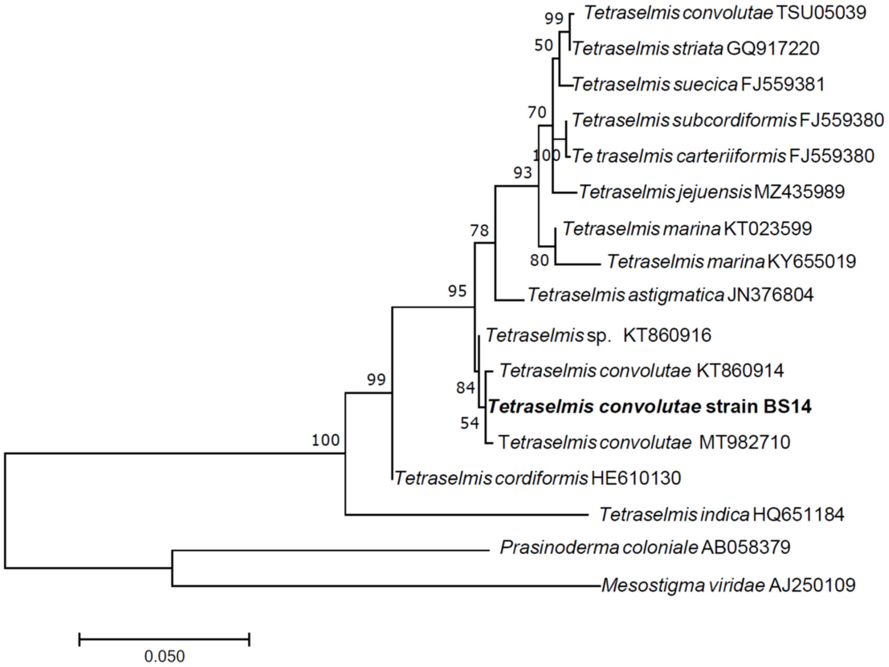 Microorganisms 10 02445 g001 Microorganisms 10 02445 g001