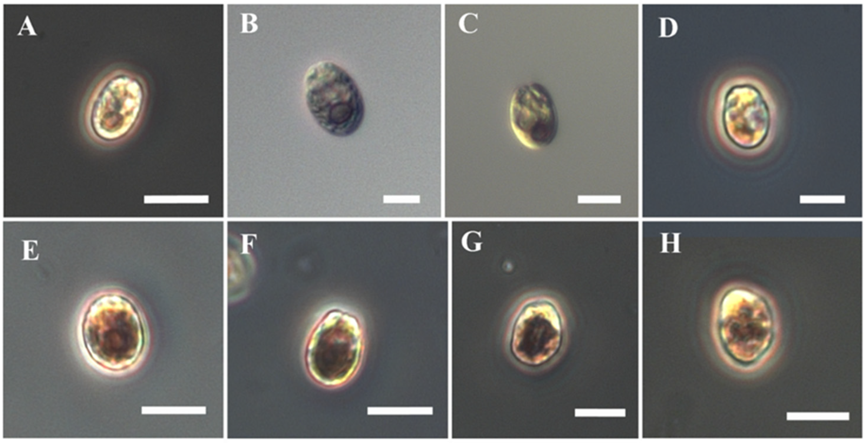 Microorganisms 10 02445 g003 Microorganisms 10 02445 g003