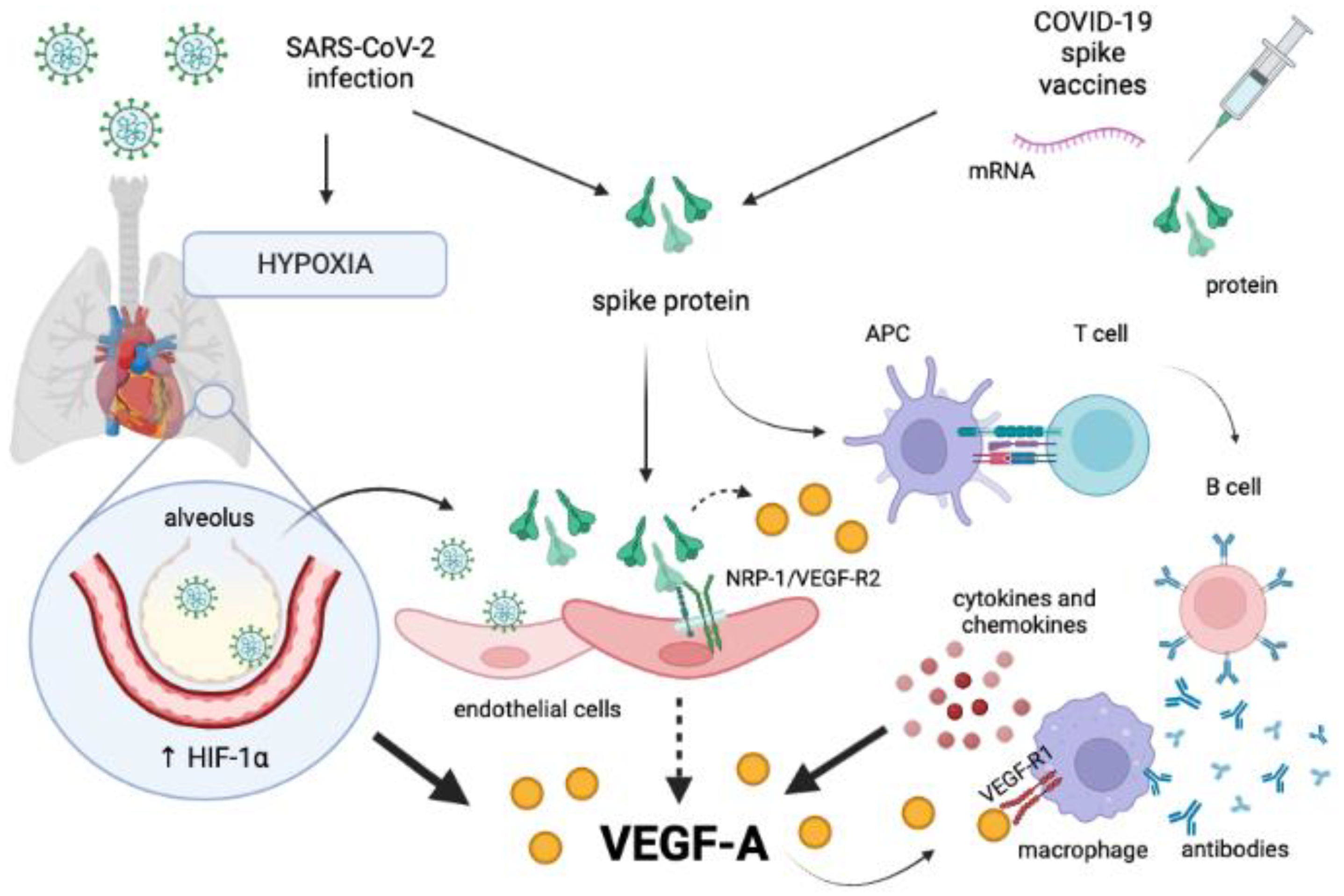 Microorganisms 10 02452 g003 Microorganisms 10 02452 g003