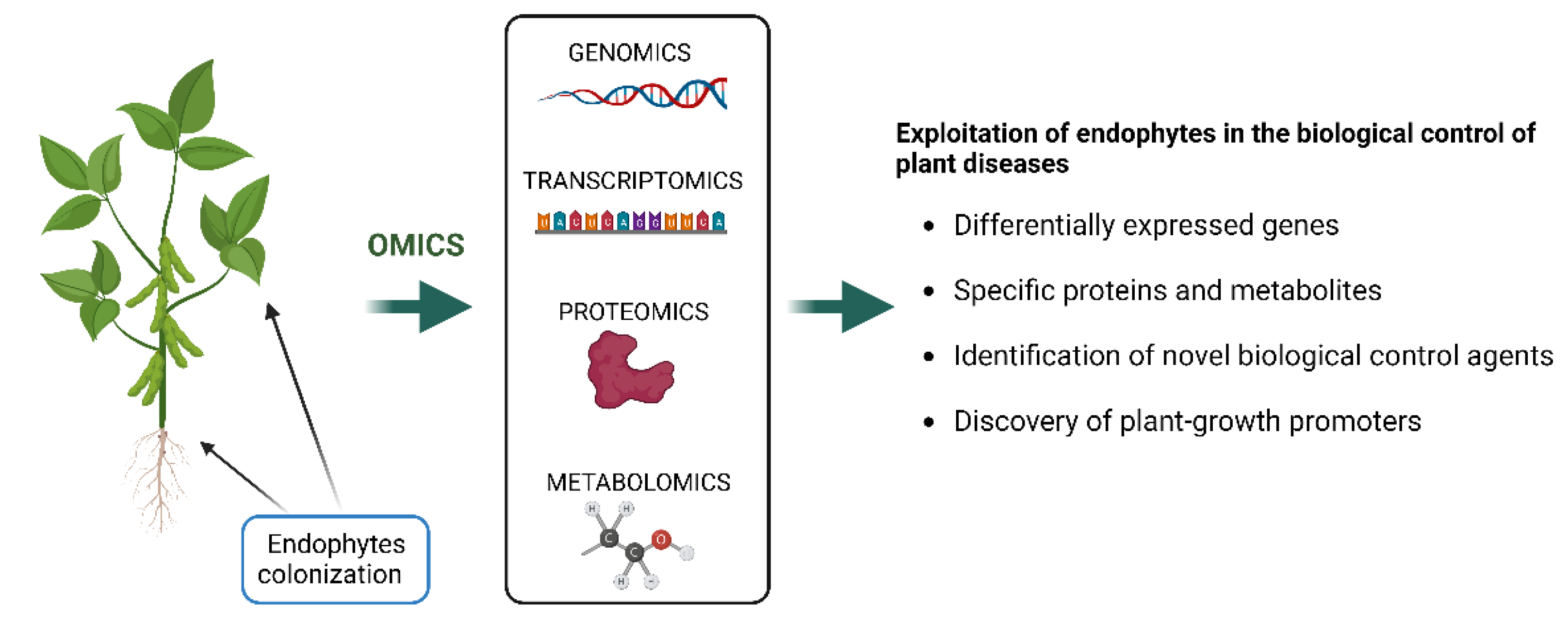Microorganisms 10 02453 g002 Microorganisms 10 02453 g002