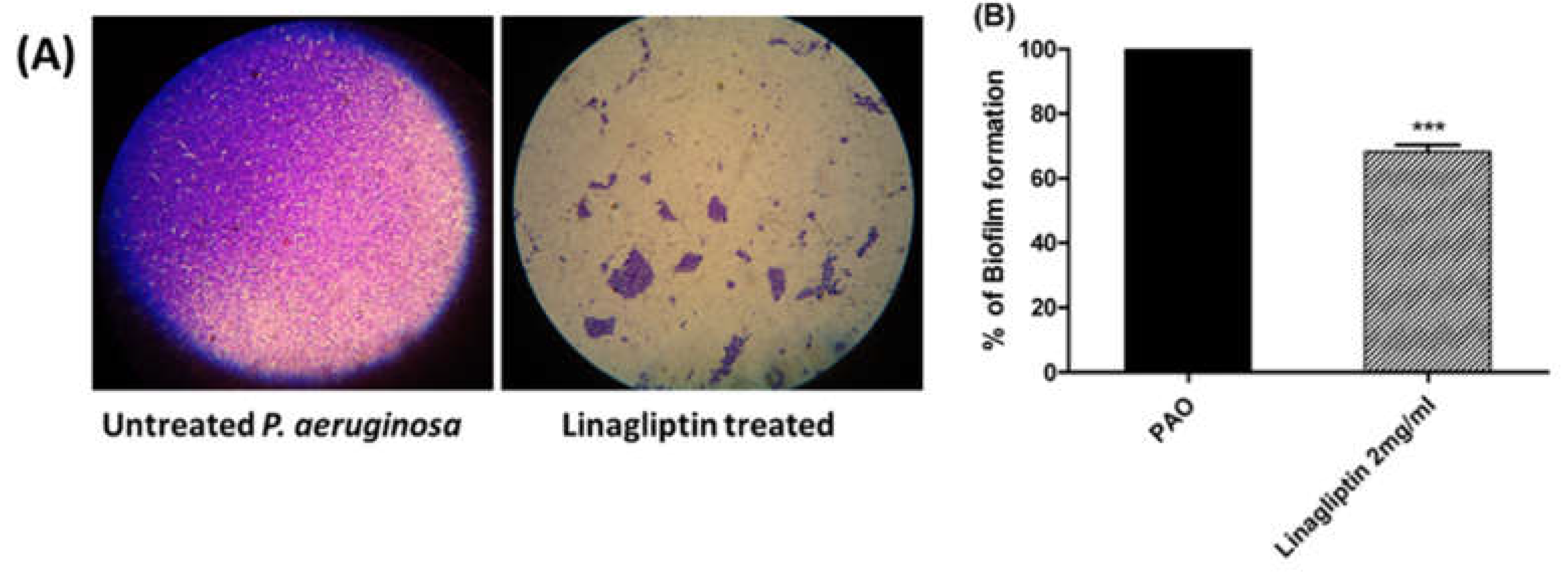 Microorganisms 10 02455 g002