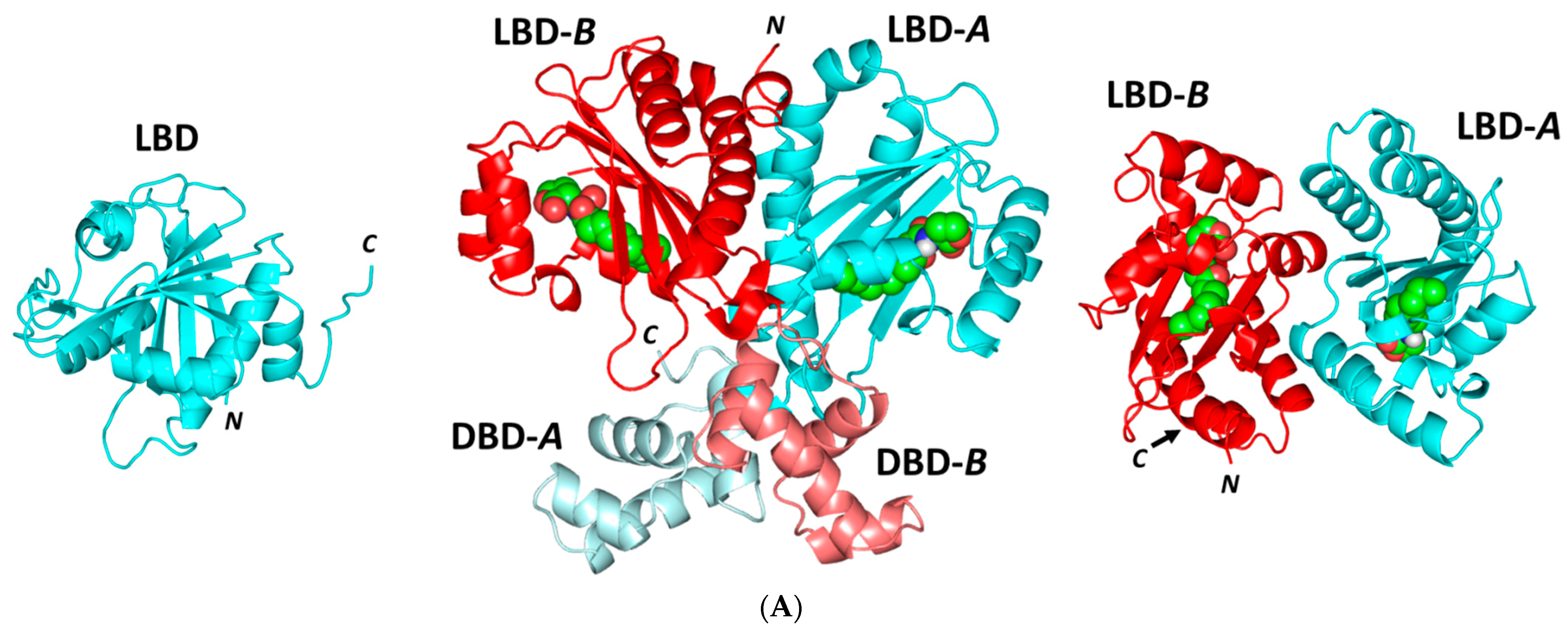 Microorganisms 10 02455 g009a