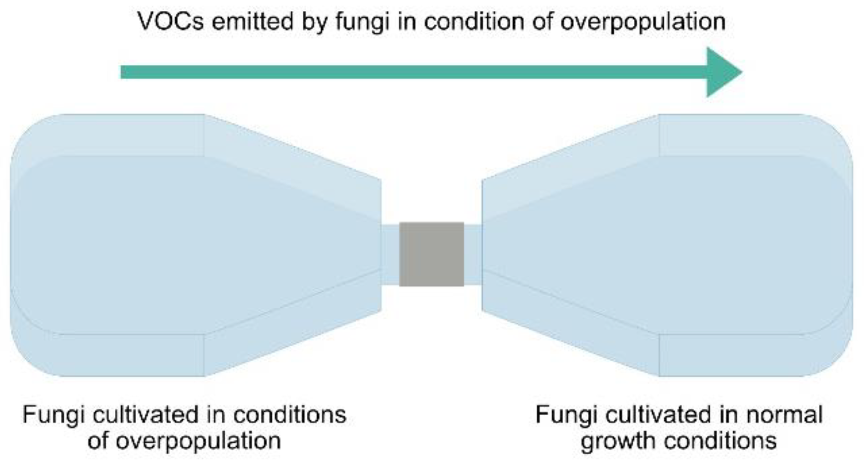 Microorganisms 10 02459 g001 Microorganisms 10 02459 g001