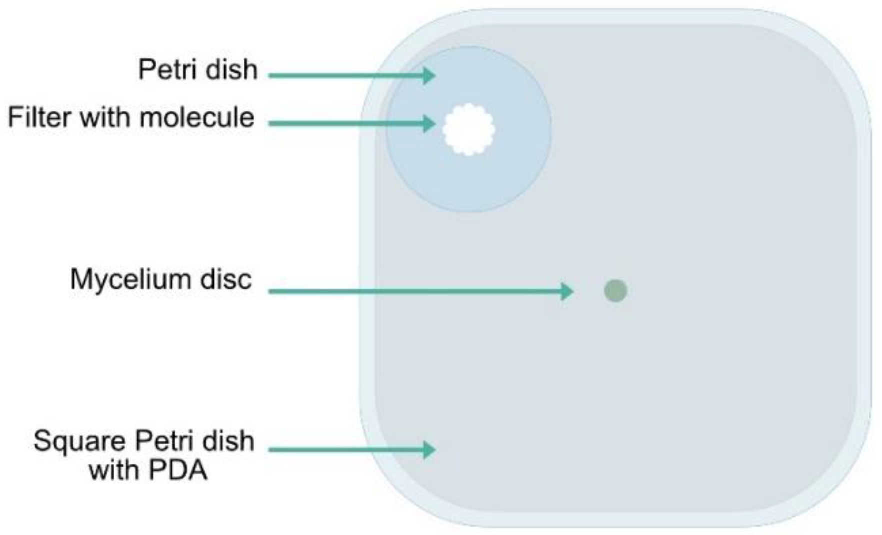 Microorganisms 10 02459 g002 Microorganisms 10 02459 g002