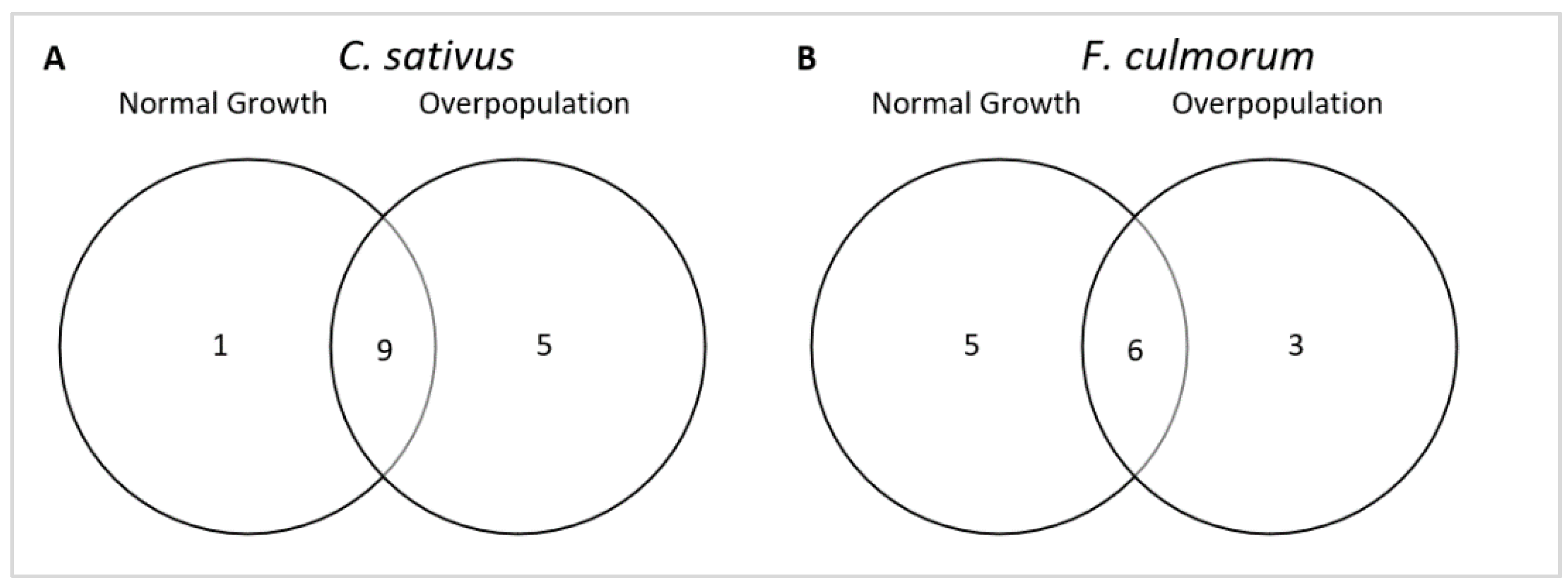 Microorganisms 10 02459 g005 Microorganisms 10 02459 g005