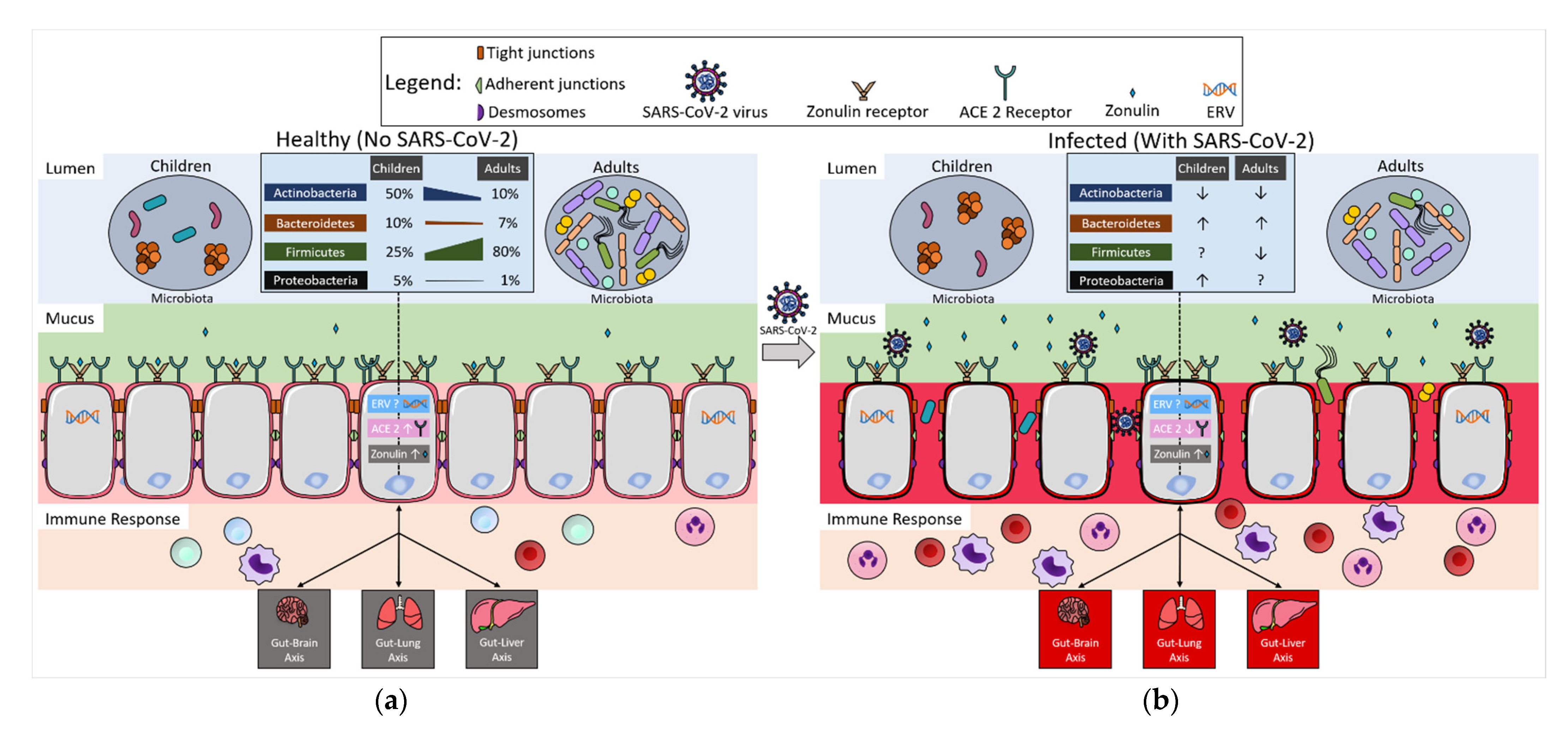 Microorganisms 10 02460 g001 Microorganisms 10 02460 g001