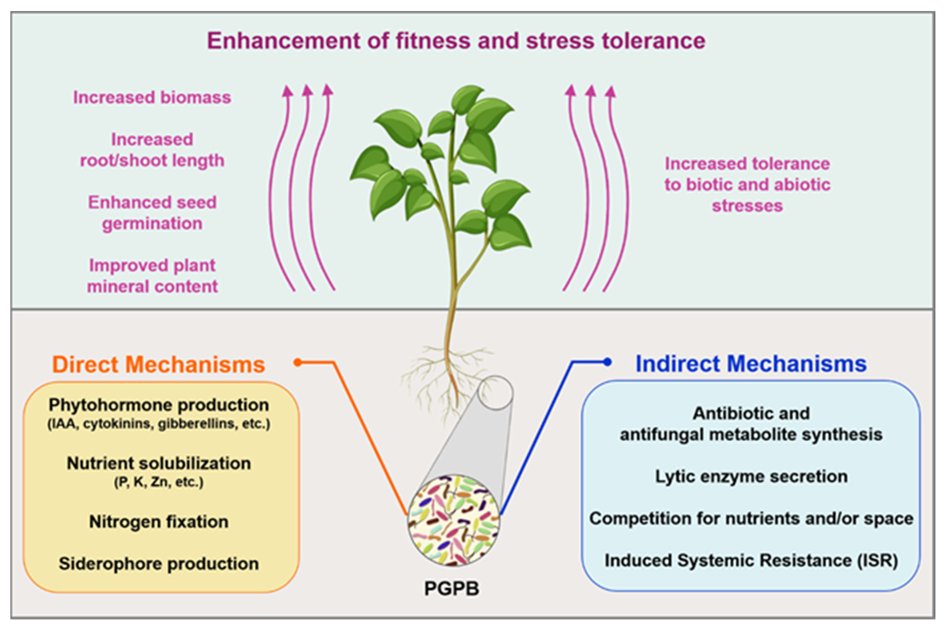 Microorganisms 10 02462 g001 Microorganisms 10 02462 g001