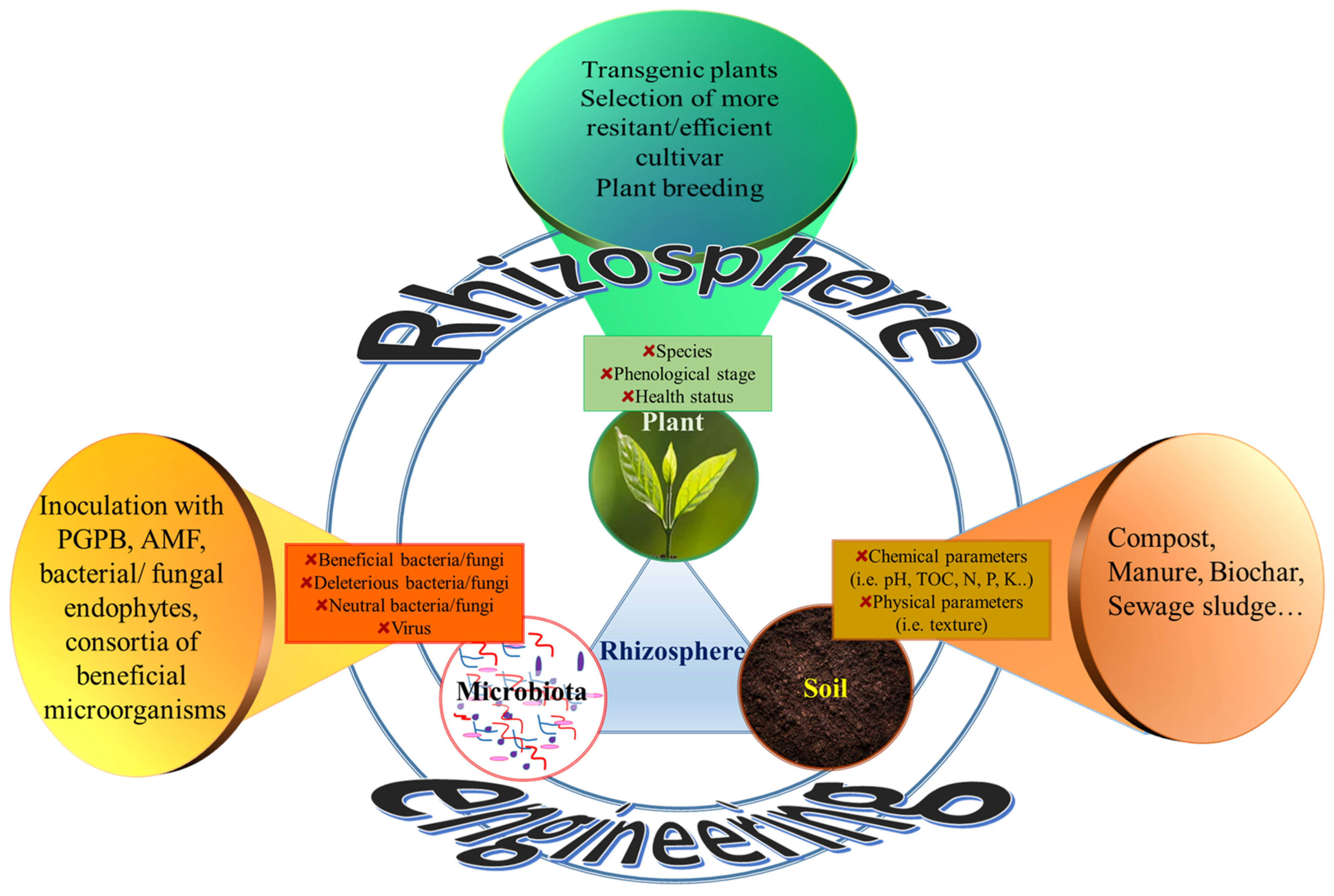 Microorganisms 10 02462 g002 Microorganisms 10 02462 g002