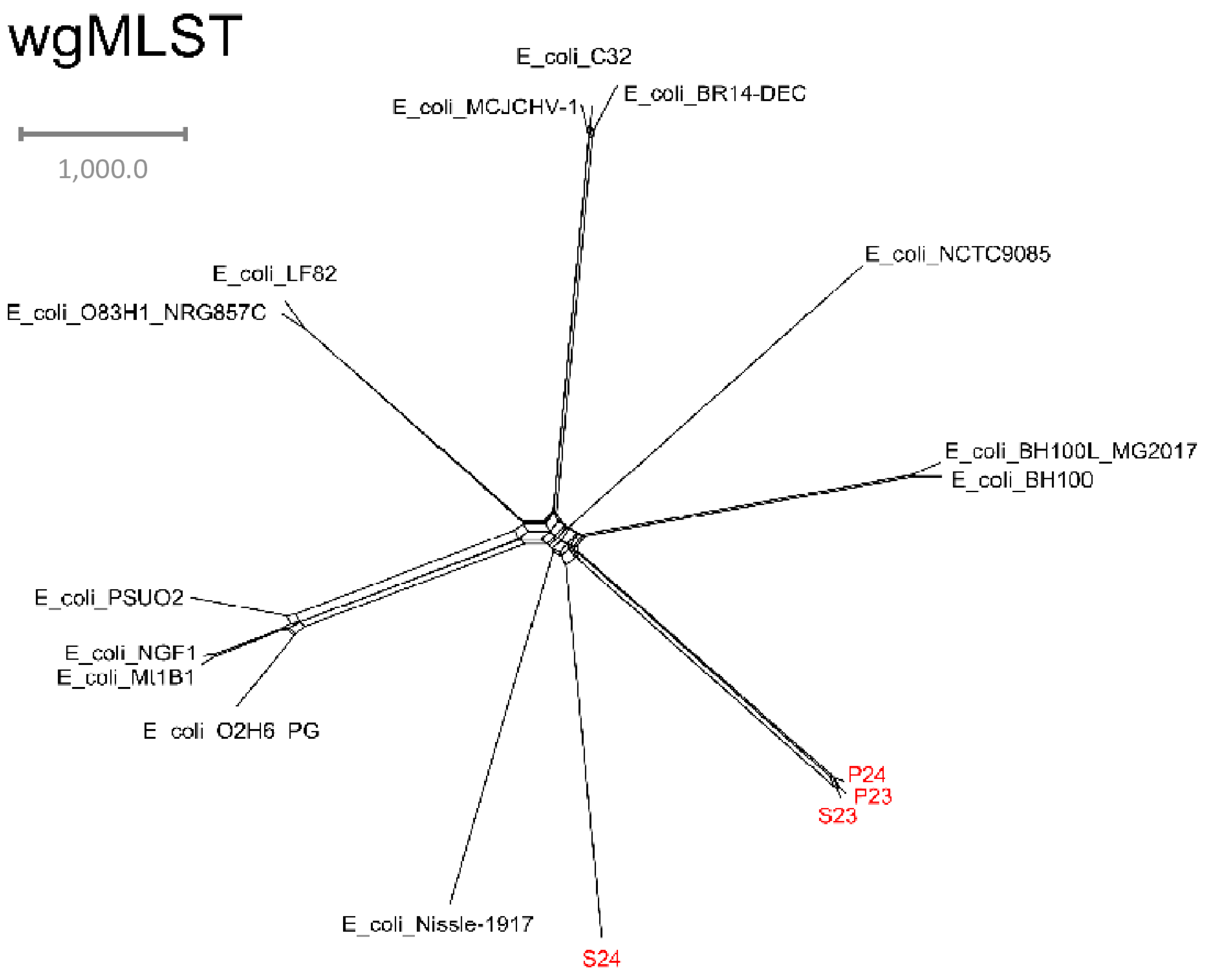 Microorganisms 10 02465 g004 Microorganisms 10 02465 g004