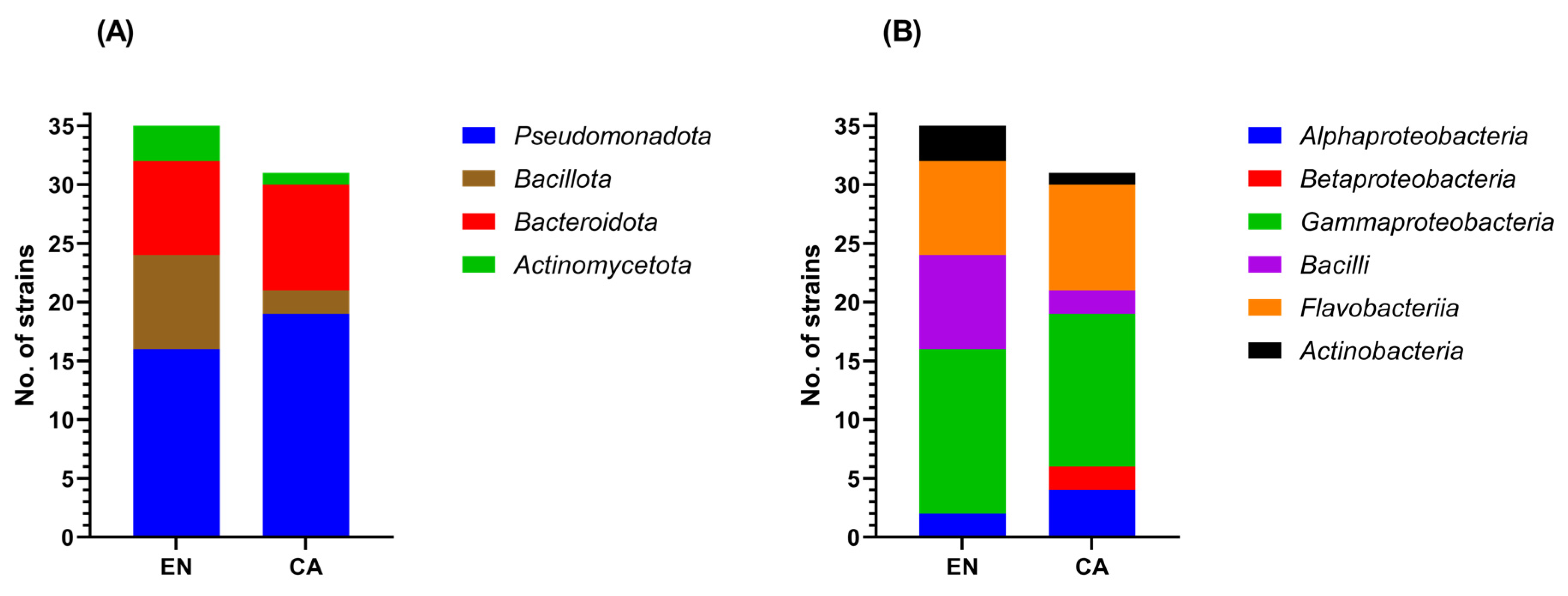 Microorganisms 10 02468 g004