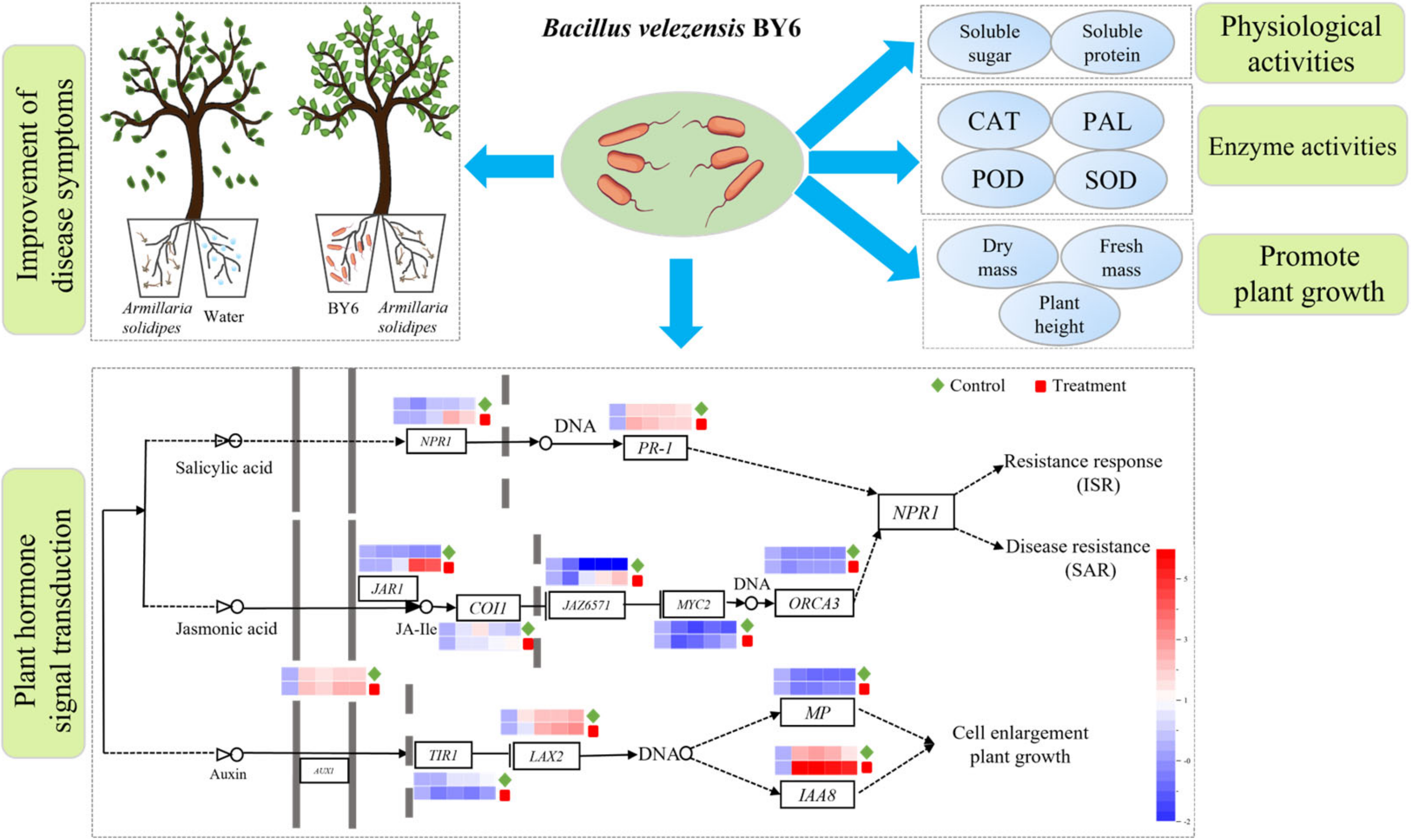 Microorganisms 10 02472 g006
