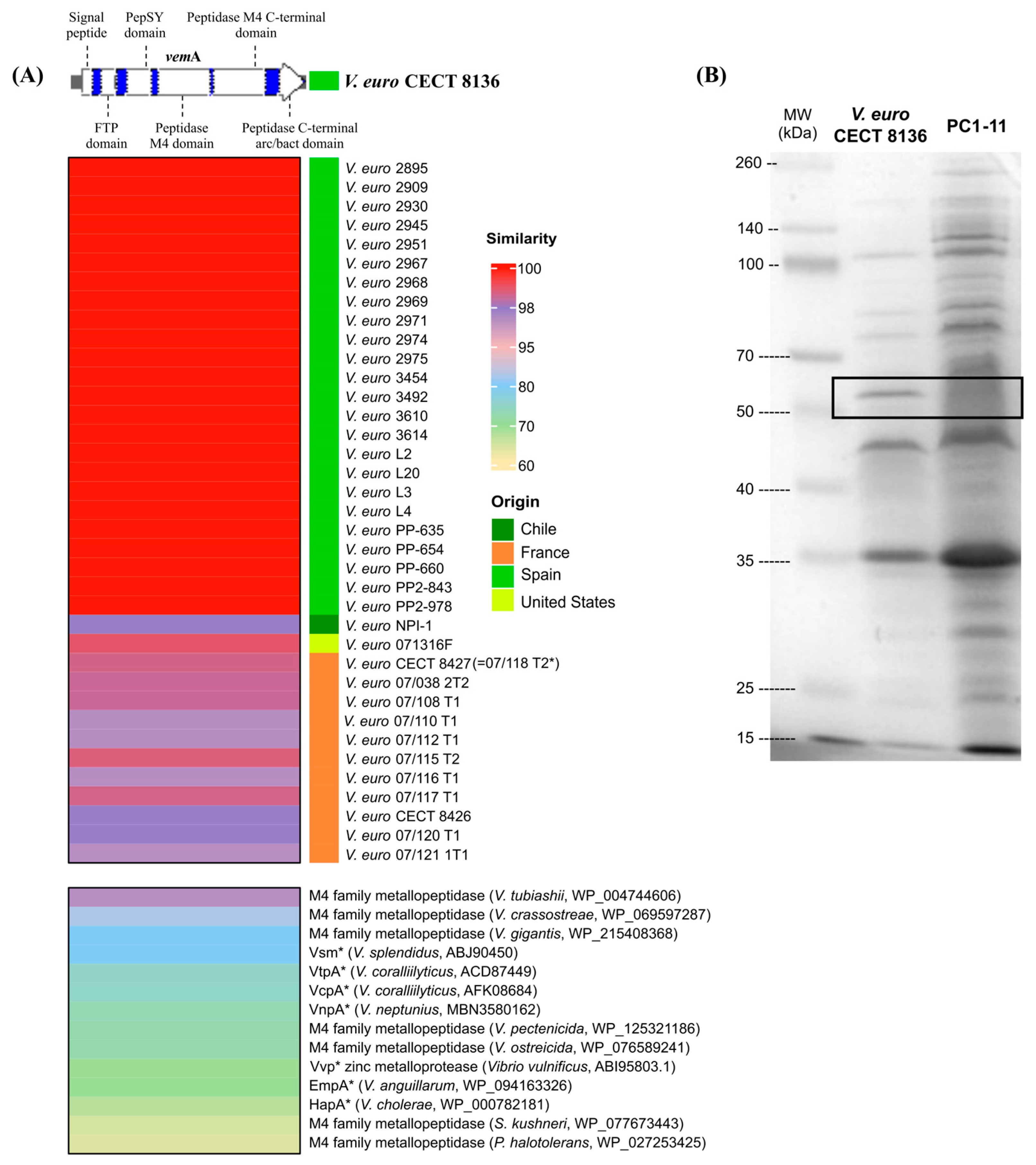 Microorganisms 10 02475 g001 Microorganisms 10 02475 g001