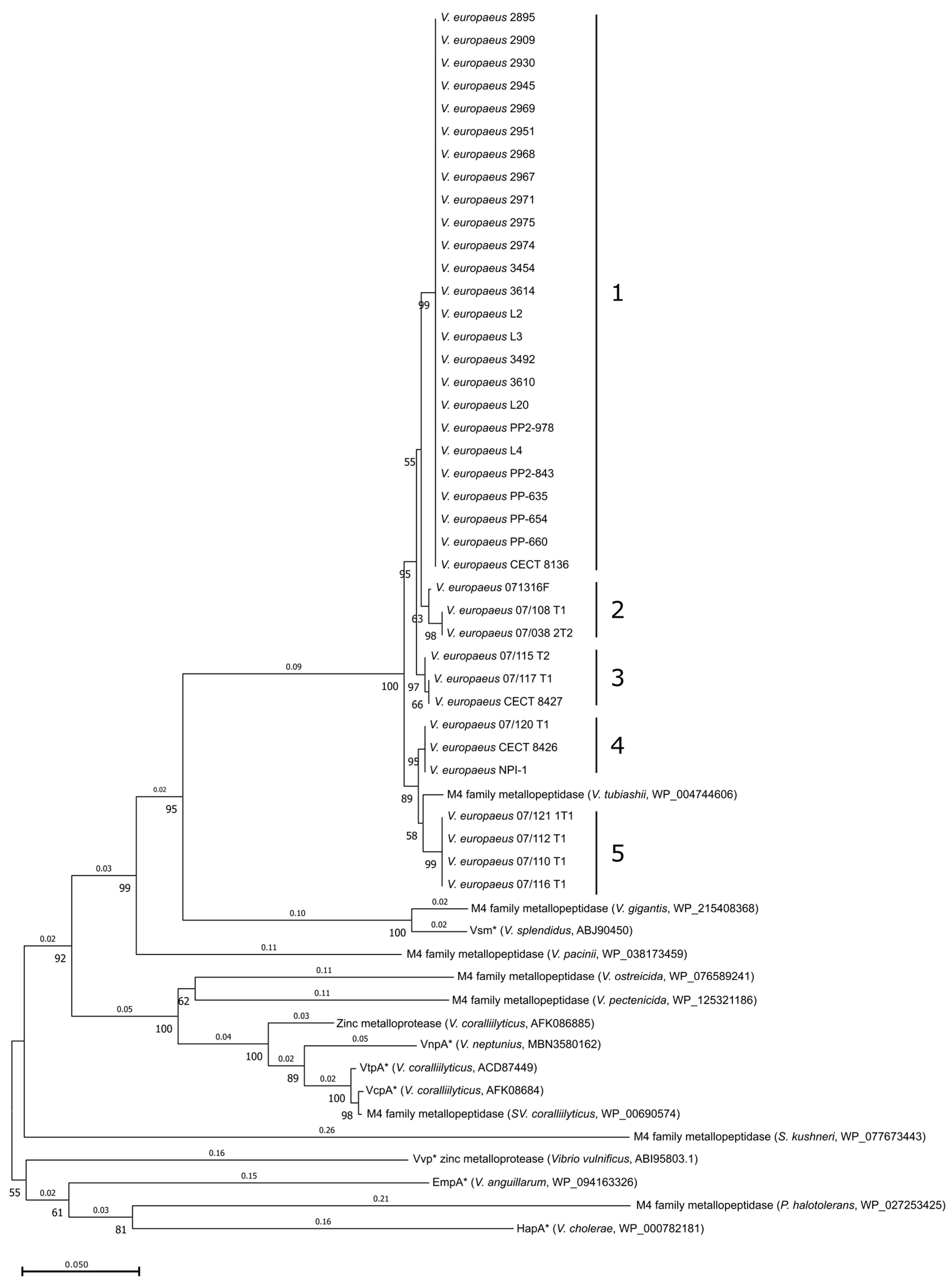 Microorganisms 10 02475 g002 Microorganisms 10 02475 g002