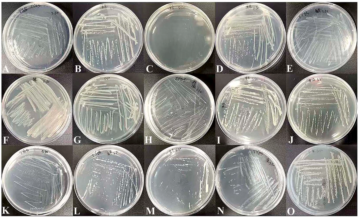 Microorganisms 10 02476 g002 Microorganisms 10 02476 g002