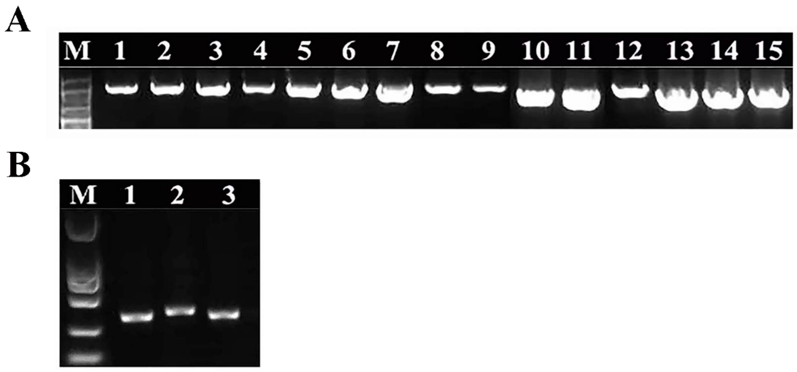 Microorganisms 10 02476 g003 Microorganisms 10 02476 g003
