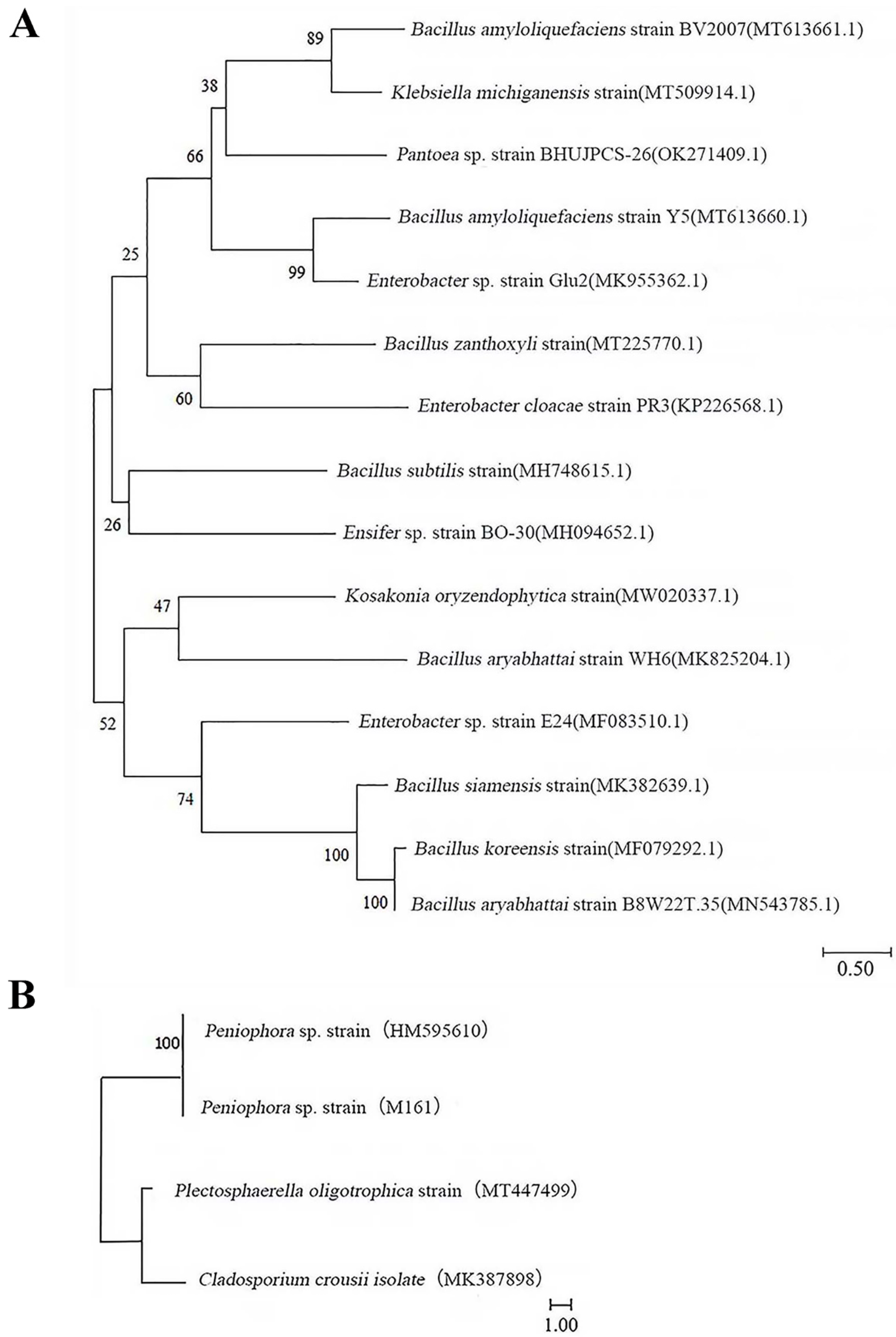 Microorganisms 10 02476 g005 Microorganisms 10 02476 g005