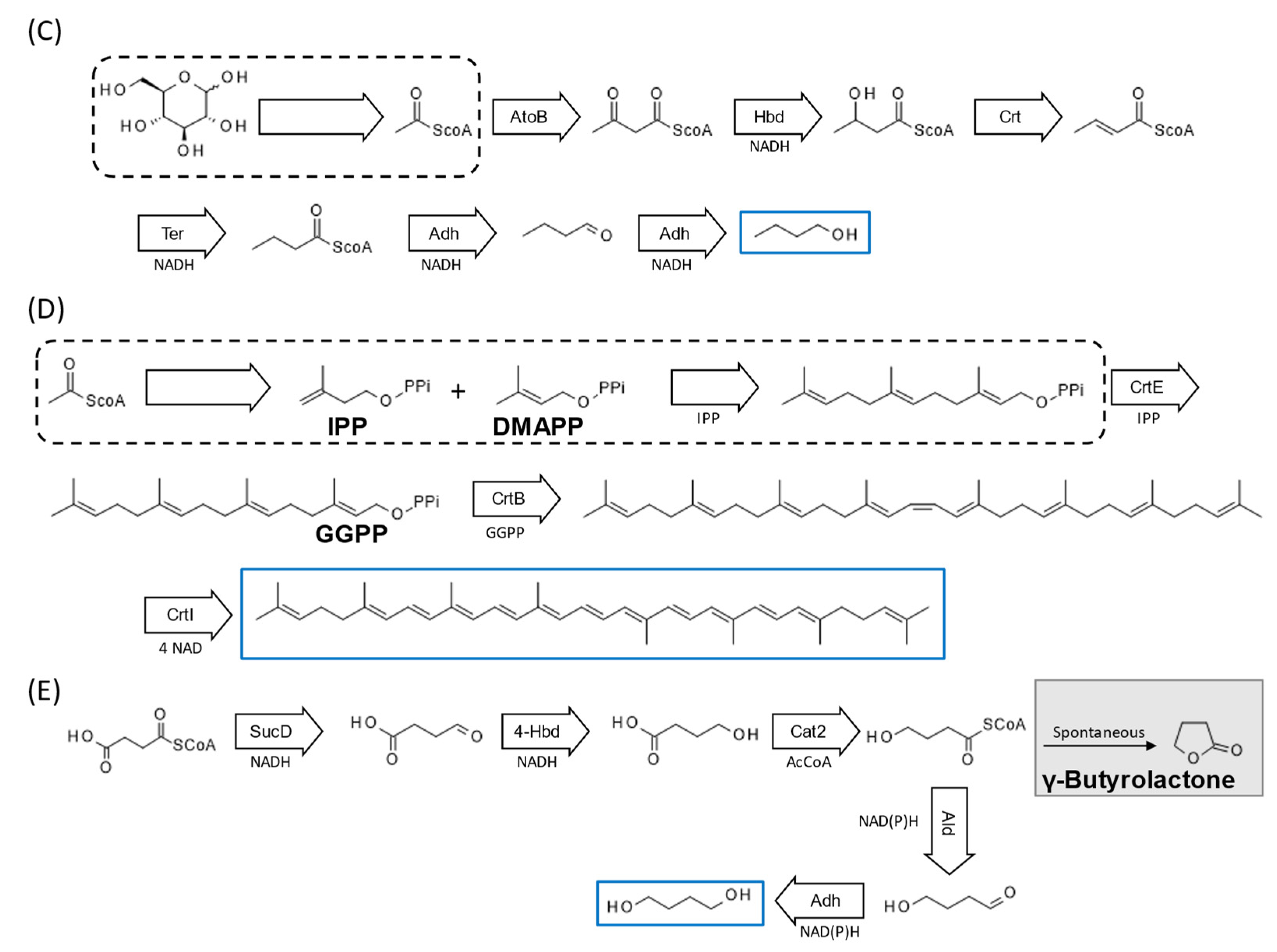 Microorganisms 10 02477 g003b Microorganisms 10 02477 g003b