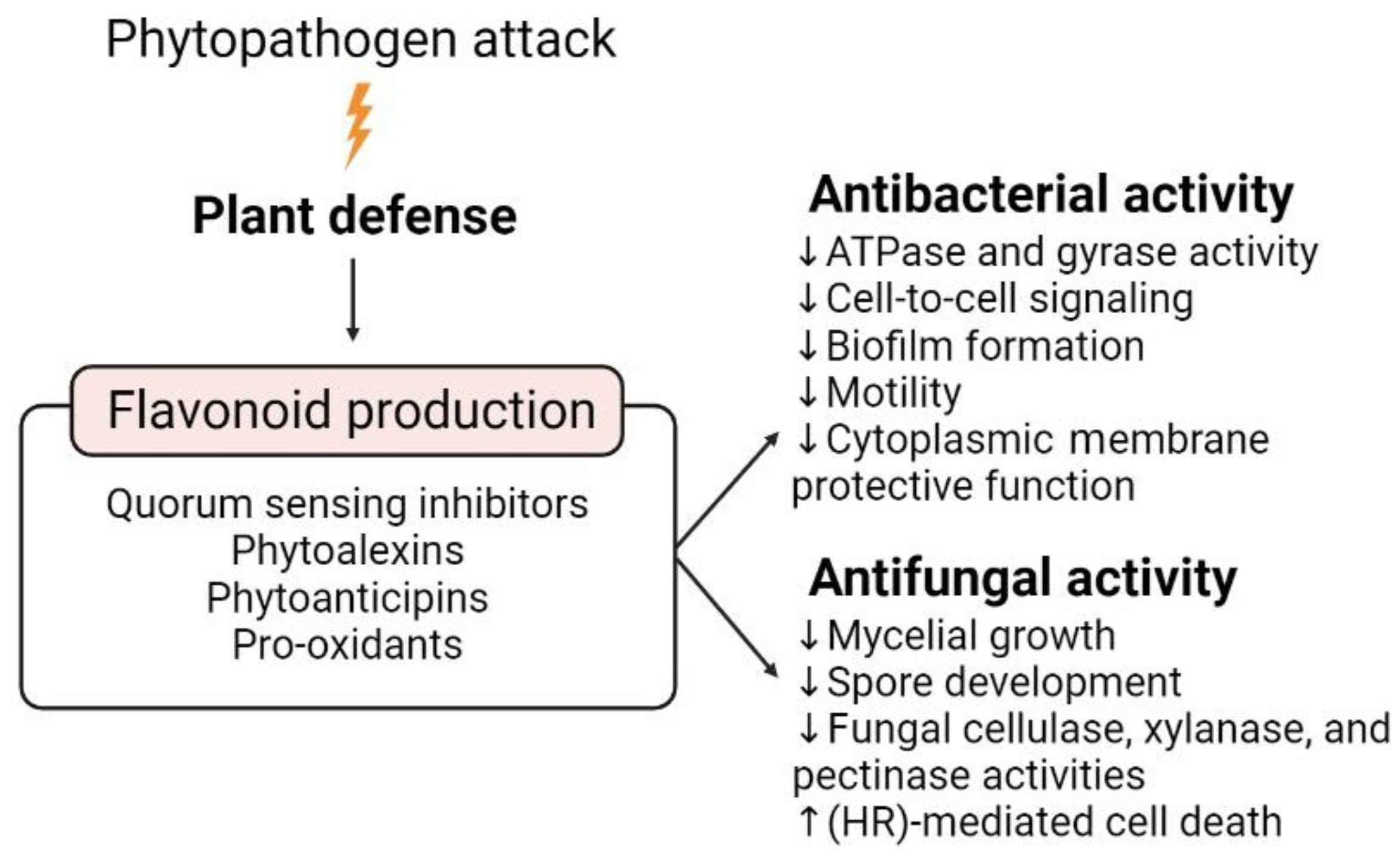 Microorganisms 10 02479 g003 Microorganisms 10 02479 g003