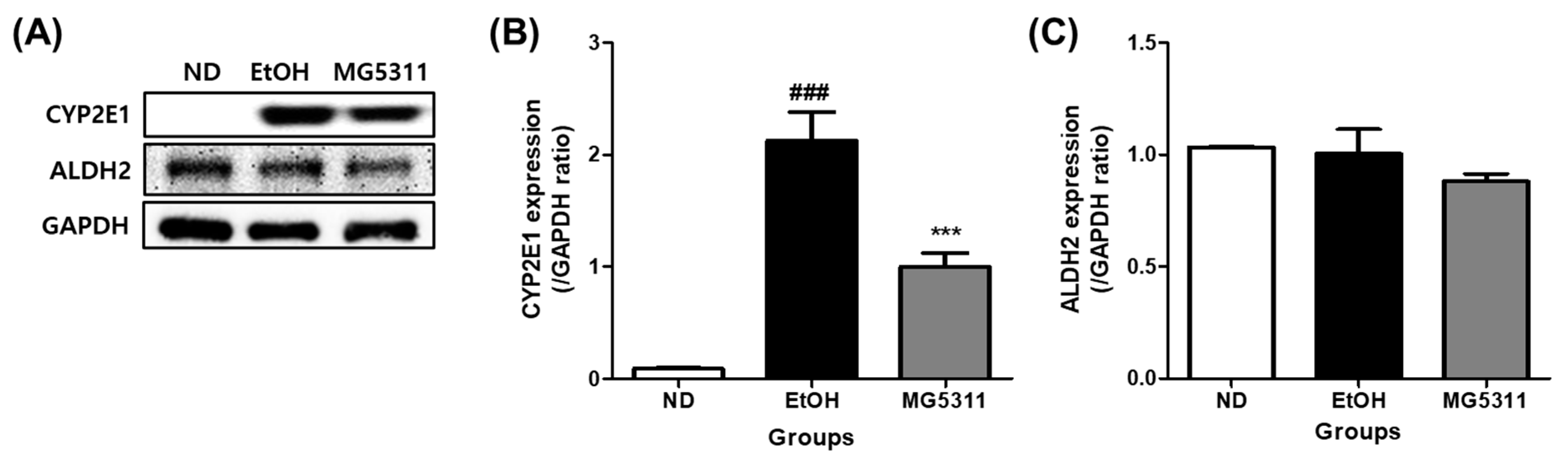 Microorganisms 10 02488 g003 Microorganisms 10 02488 g003