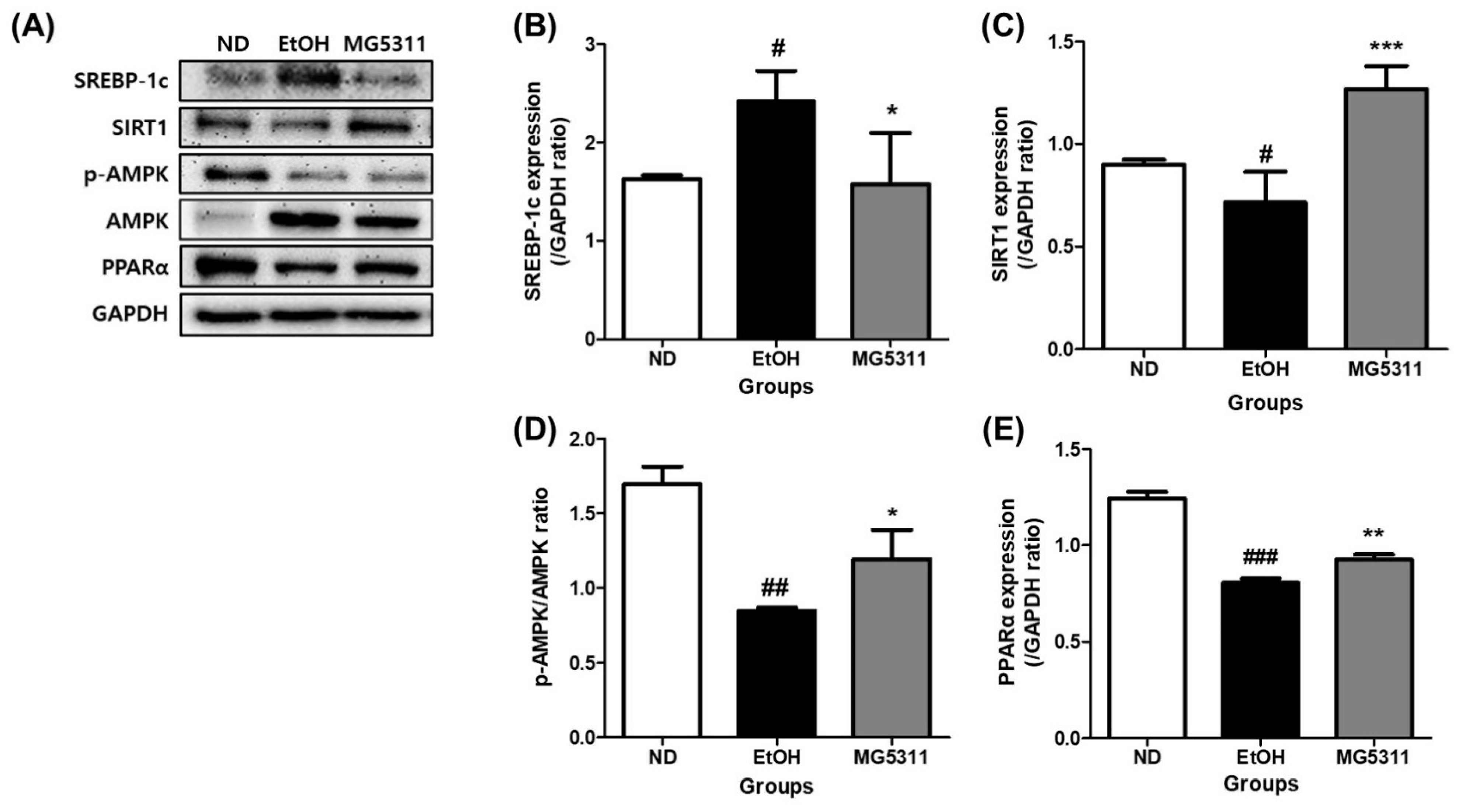 Microorganisms 10 02488 g007 Microorganisms 10 02488 g007