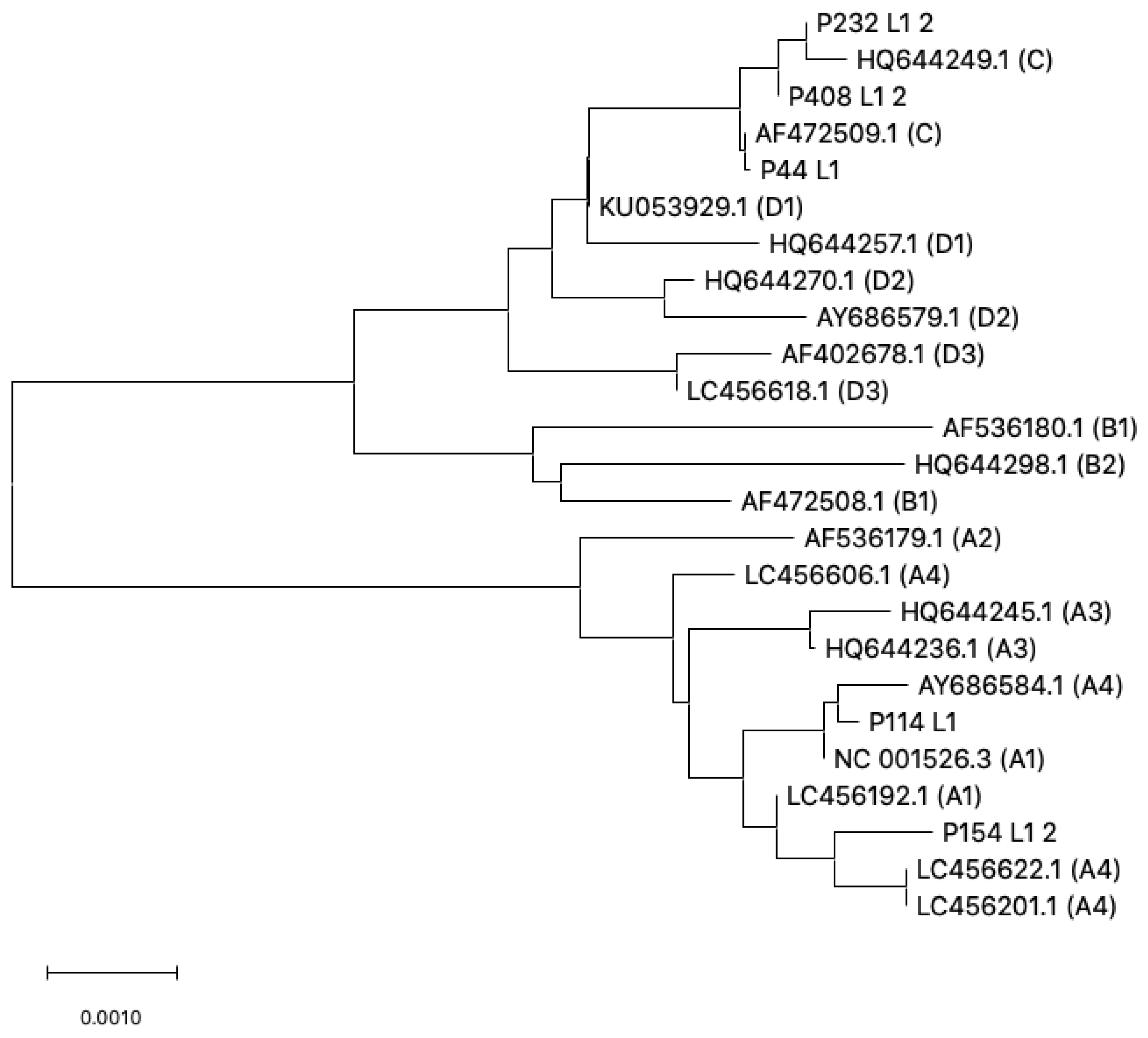 Microorganisms 10 02492 g004