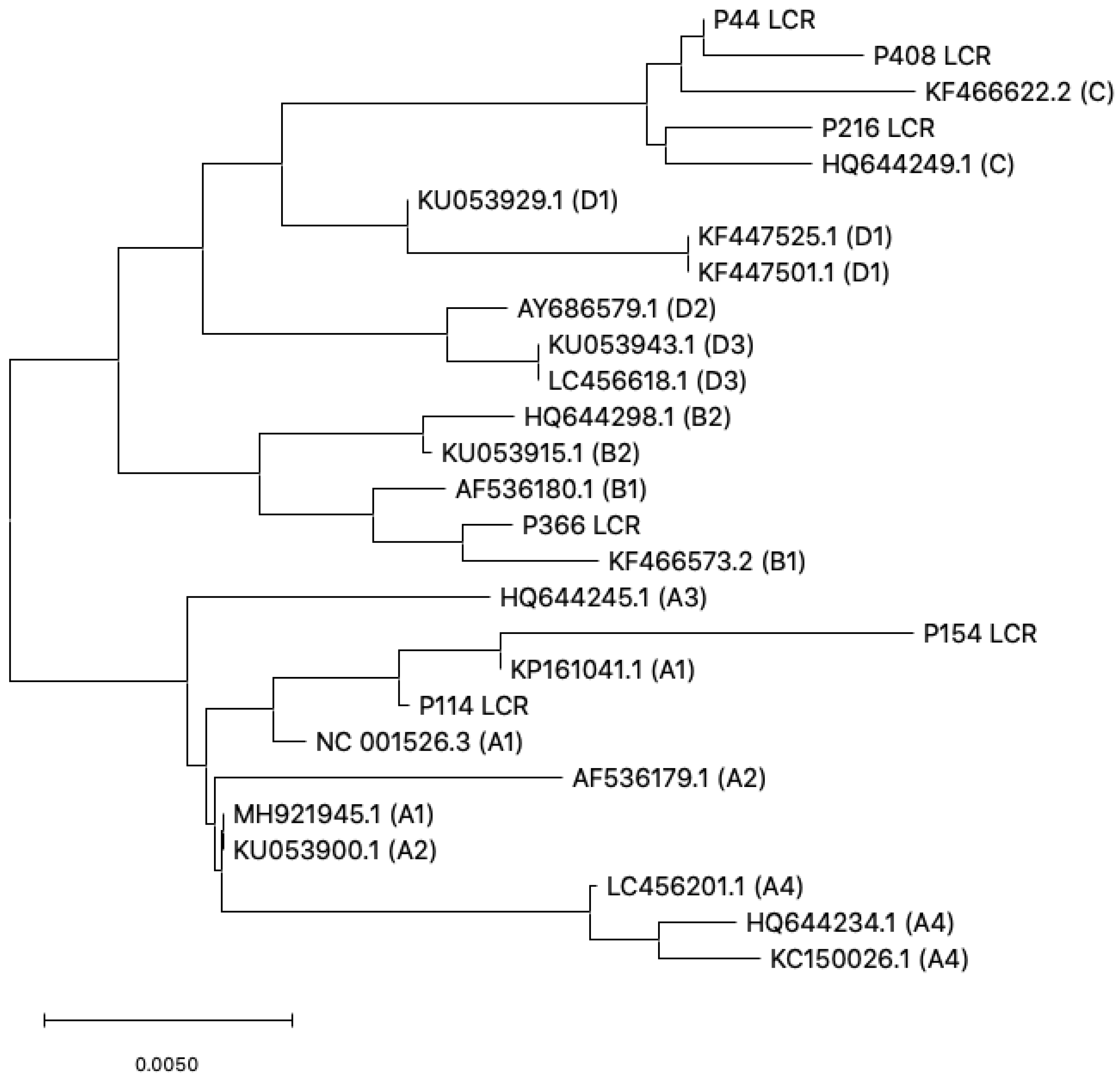 Microorganisms 10 02492 g005