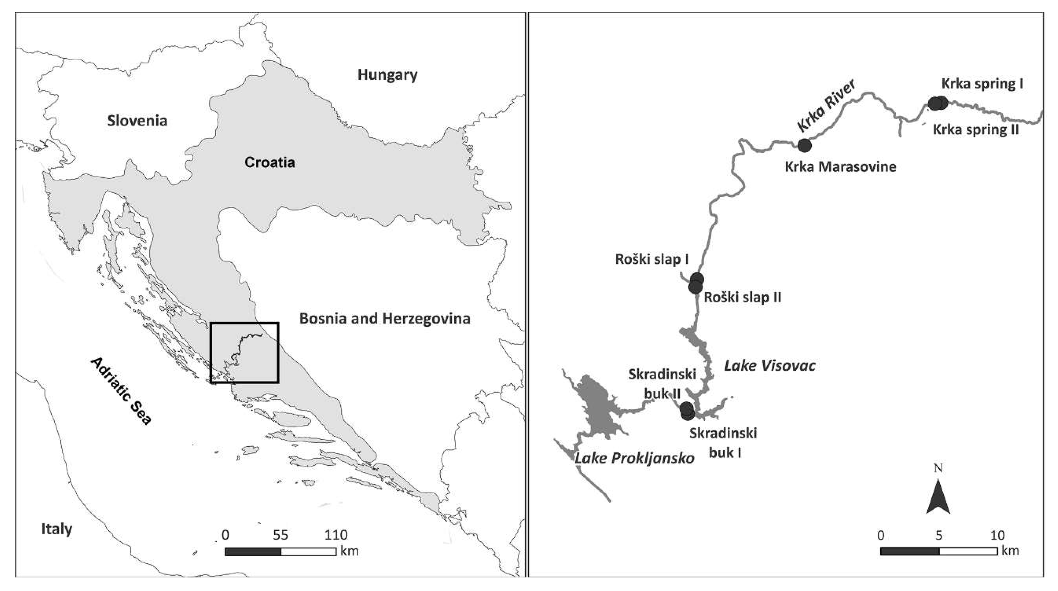 Microorganisms 10 02493 g001