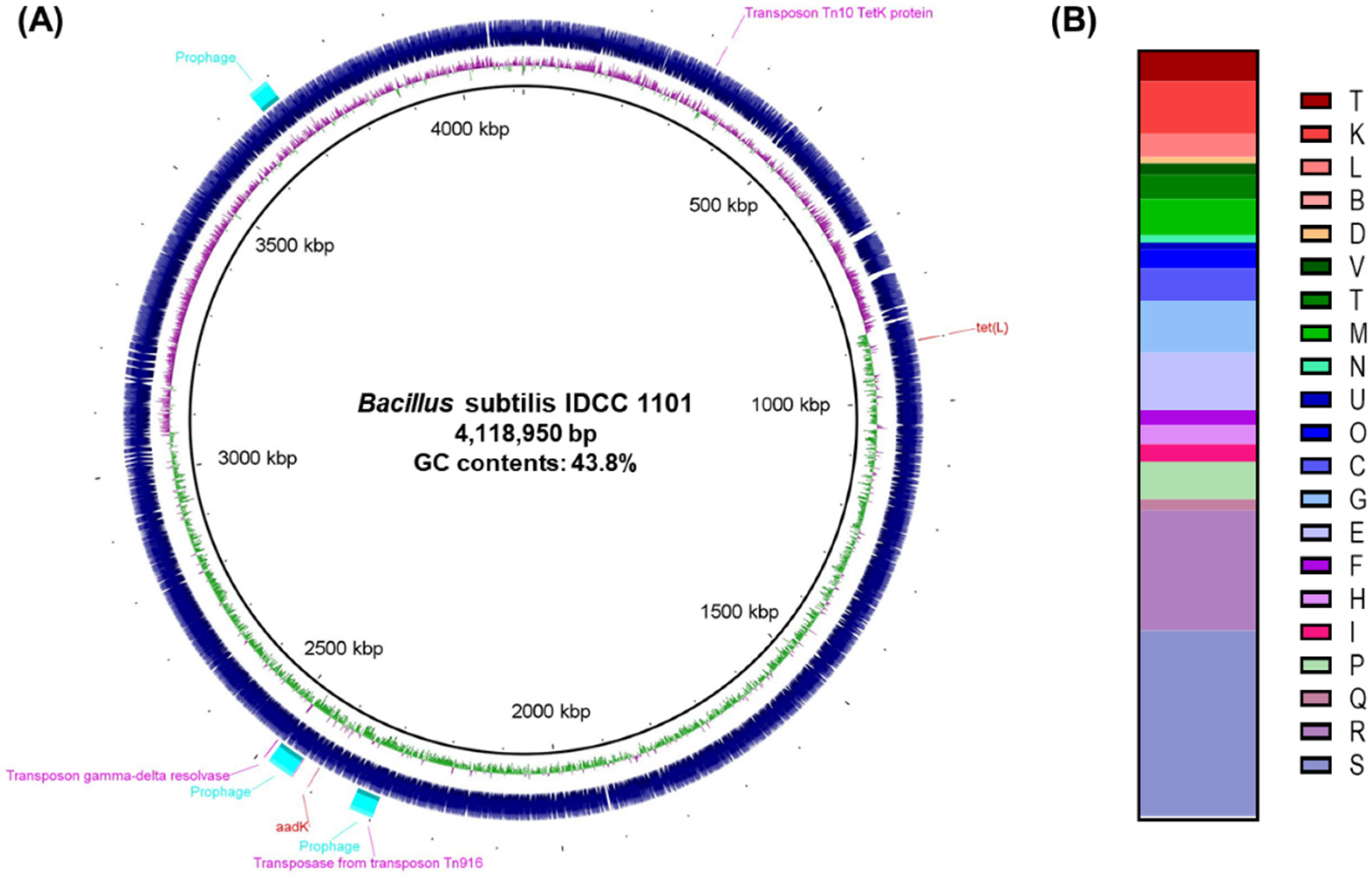 Microorganisms 10 02494 g001 Microorganisms 10 02494 g001