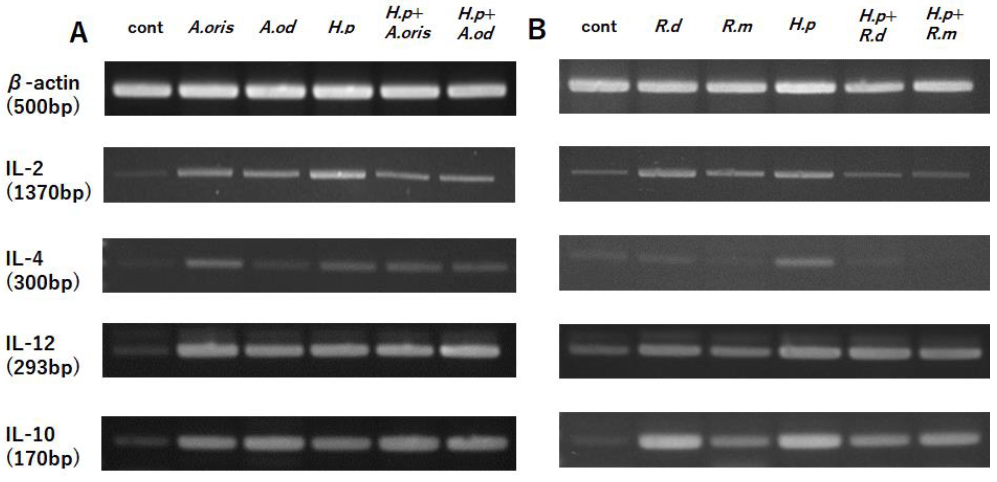 Microorganisms 10 02495 g002 Microorganisms 10 02495 g002