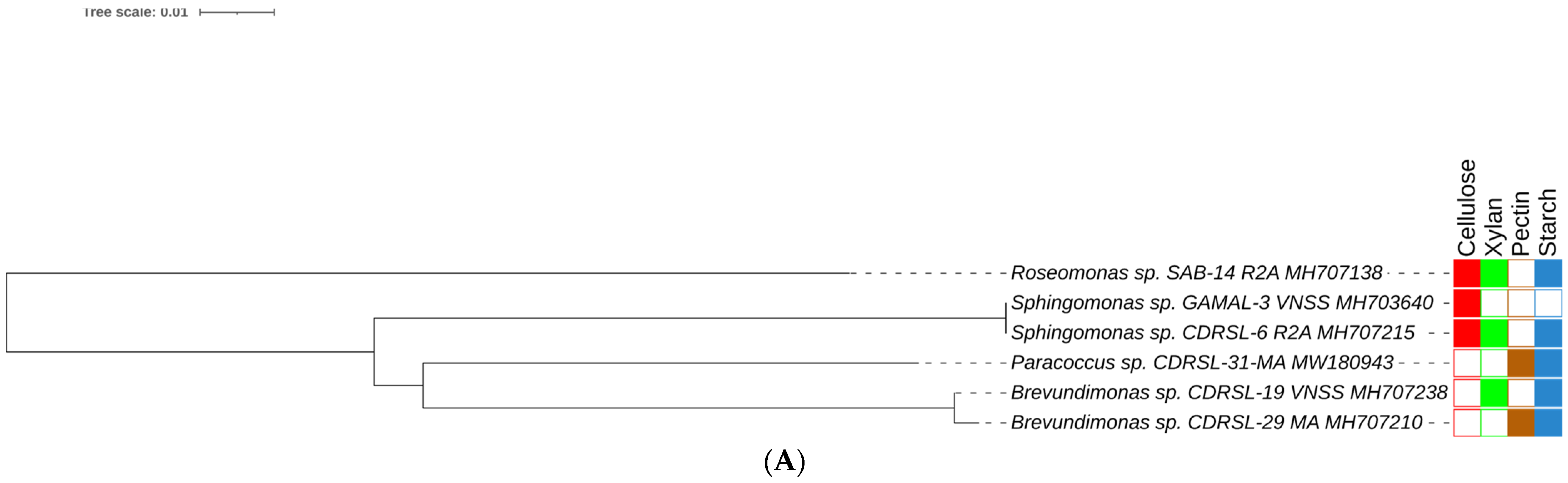 Microorganisms 10 02513 g002a Microorganisms 10 02513 g002a
