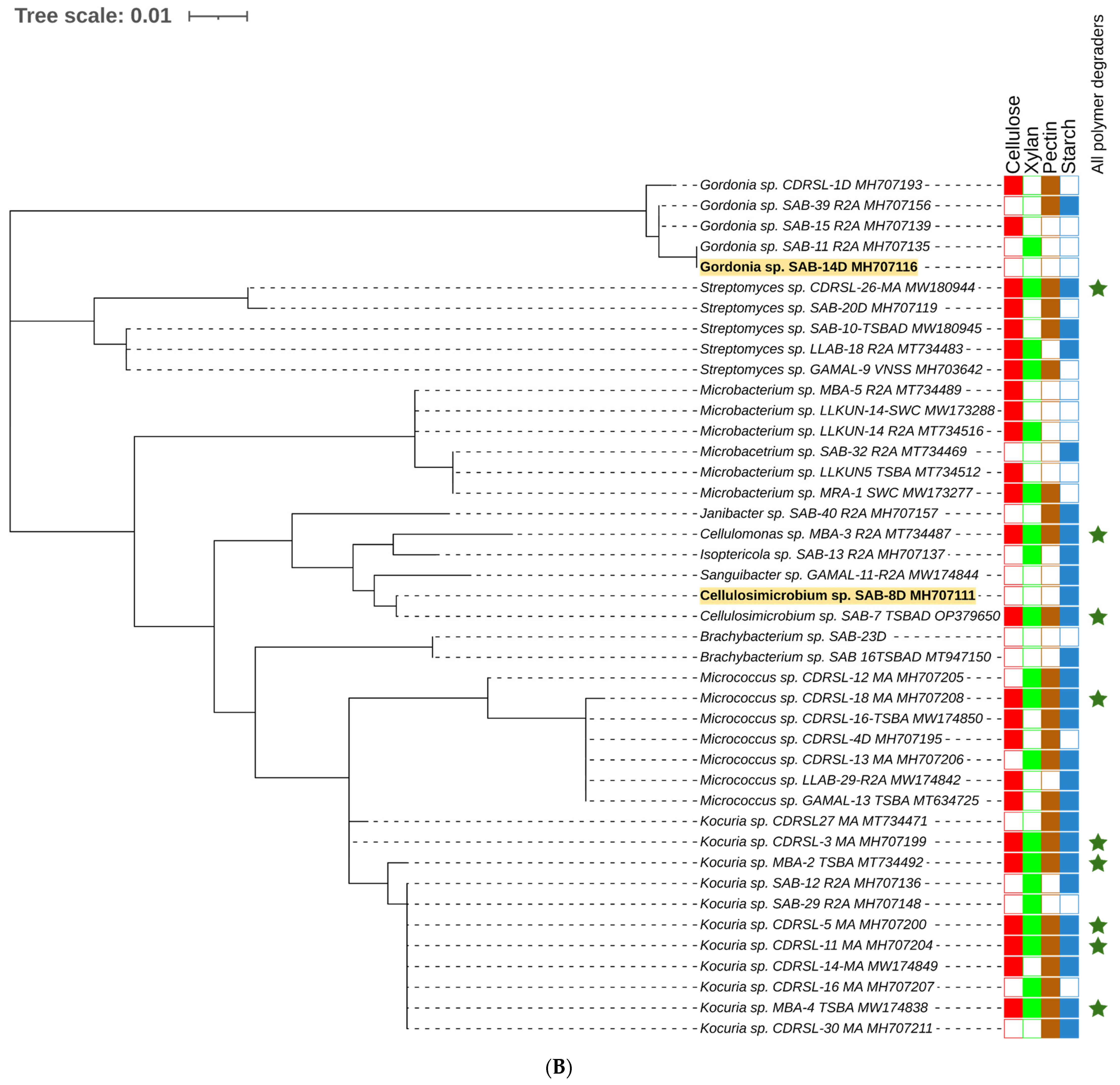 Microorganisms 10 02513 g002b Microorganisms 10 02513 g002b