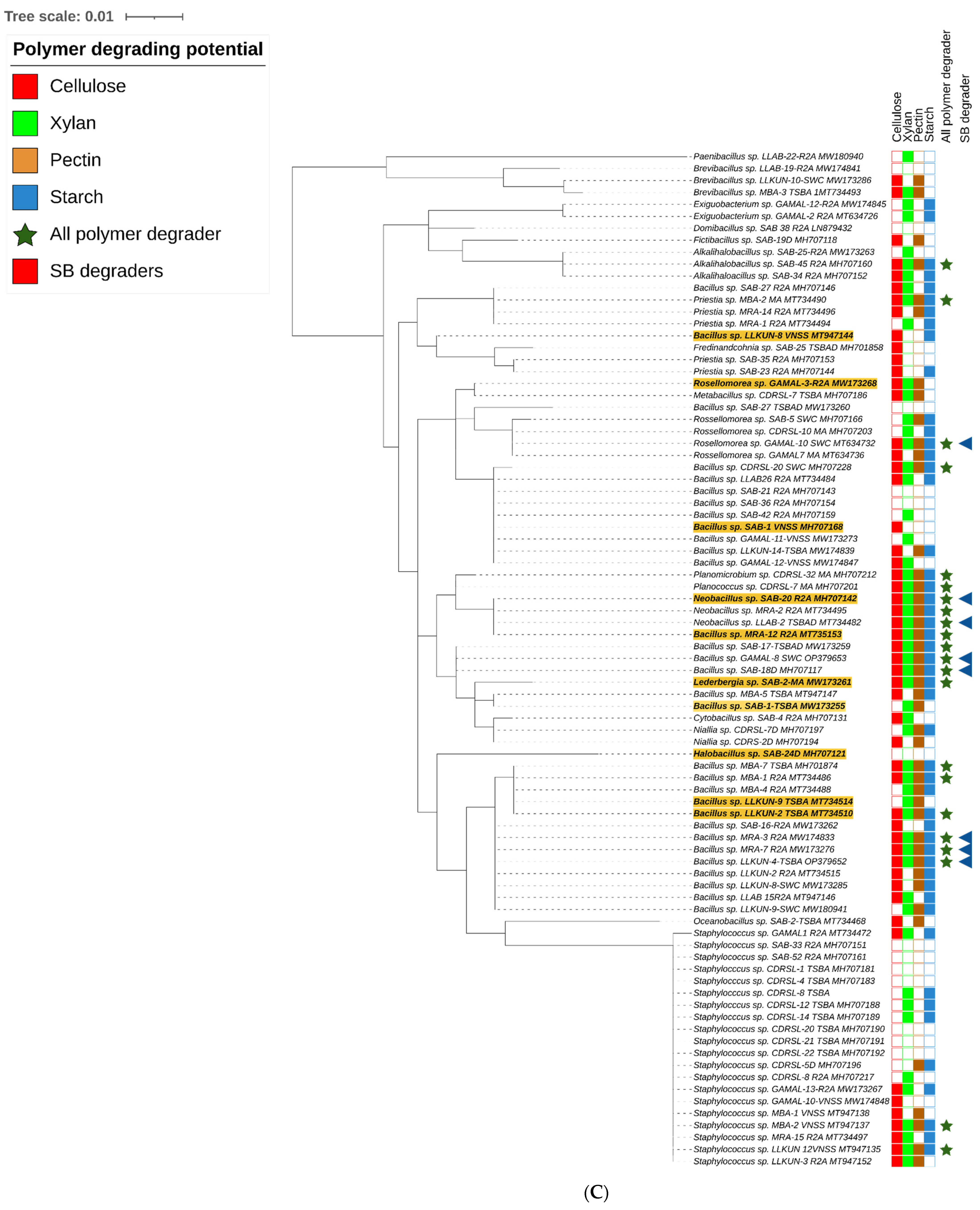 Microorganisms 10 02513 g002c Microorganisms 10 02513 g002c