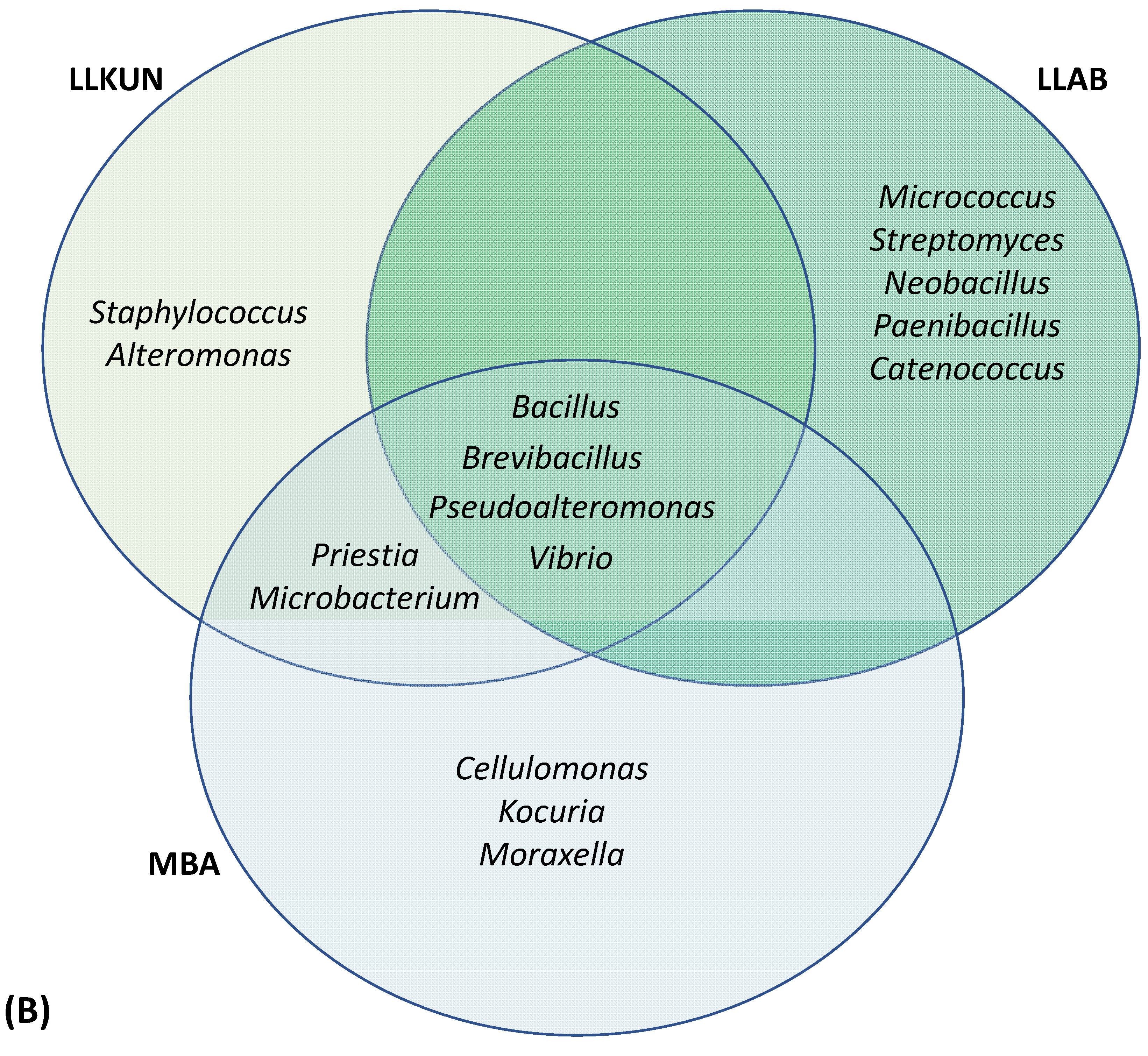 Microorganisms 10 02513 g004b Microorganisms 10 02513 g004b