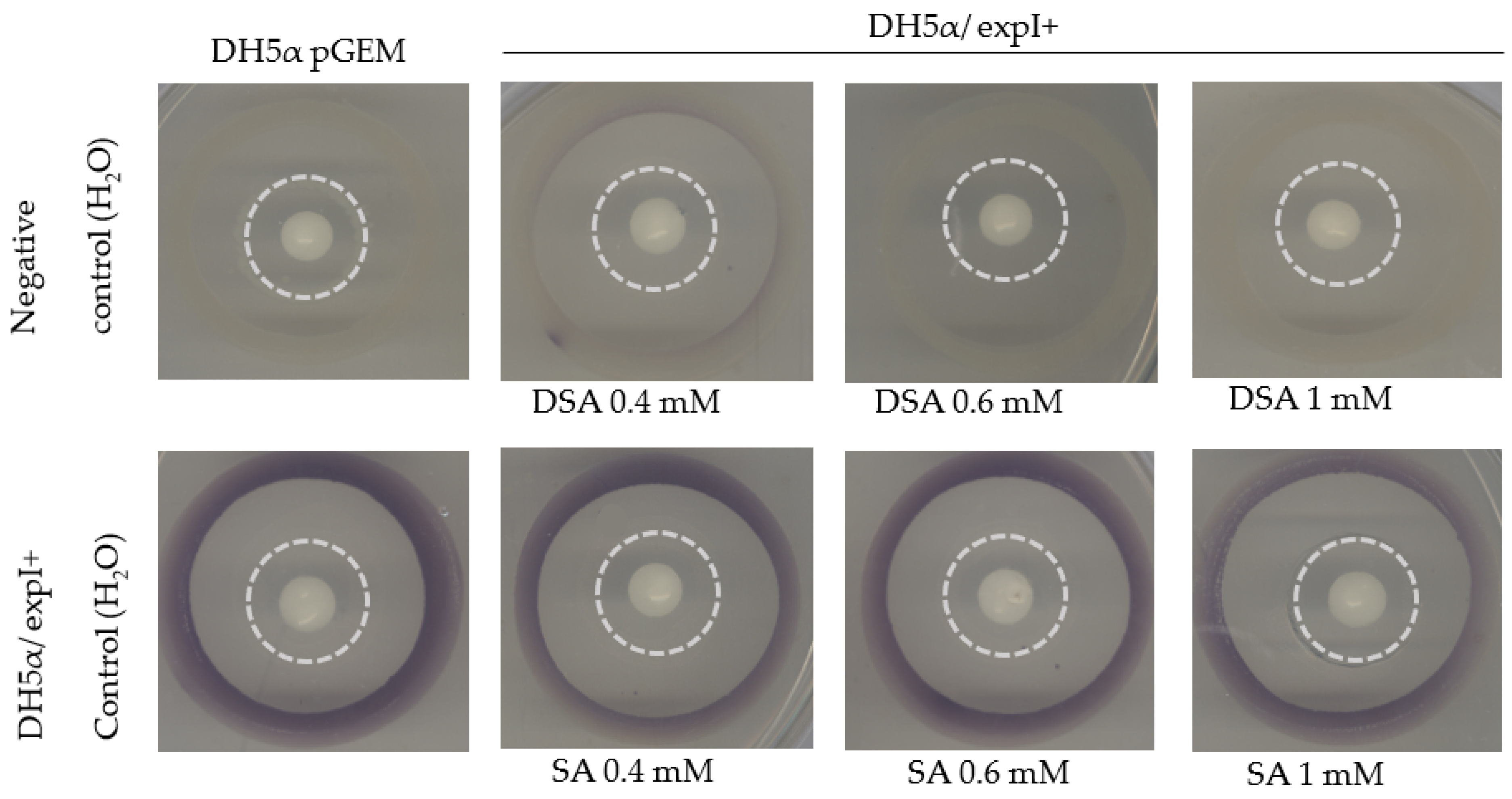Microorganisms 10 02516 g009