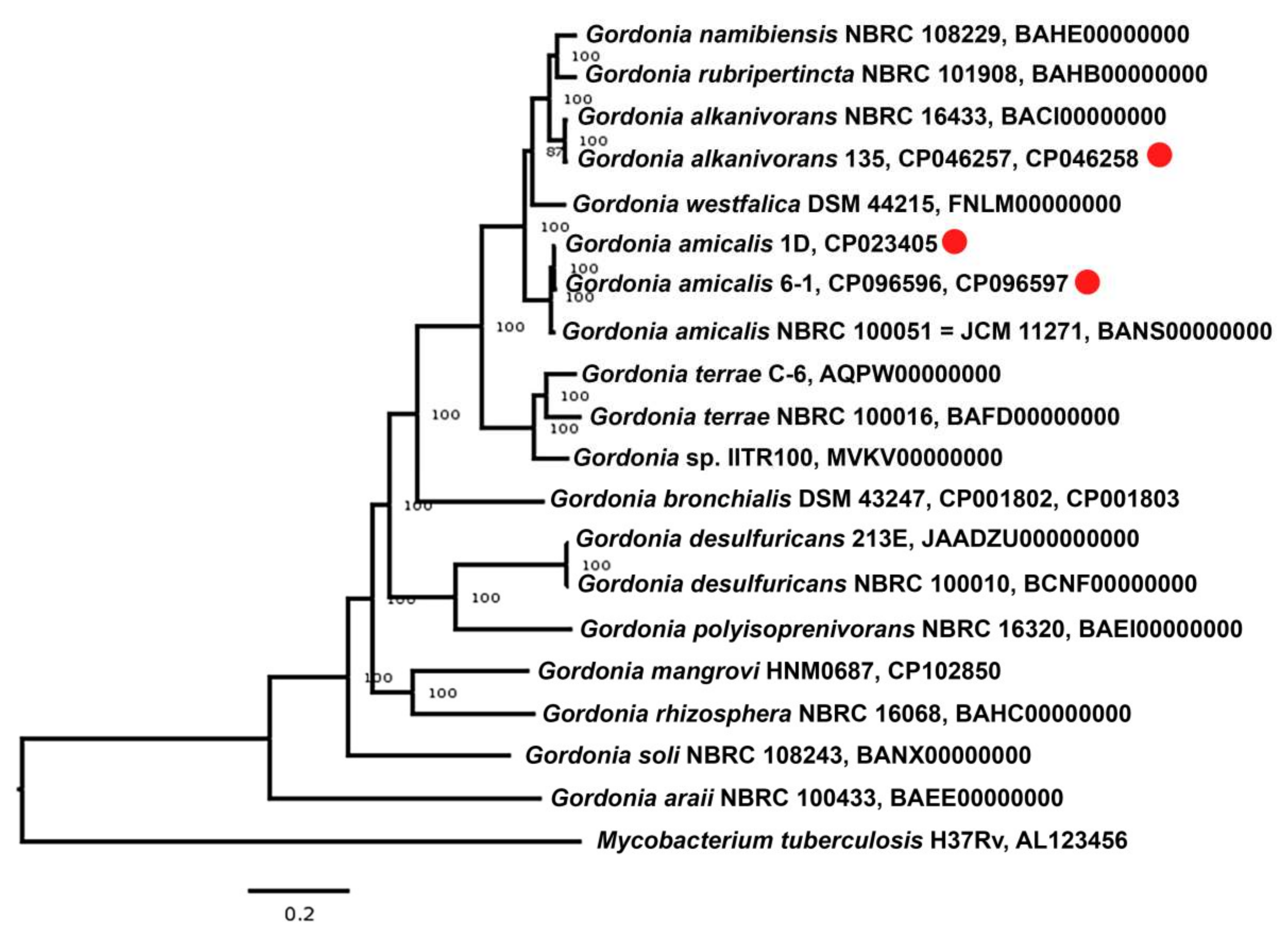 Microorganisms 11 00004 g002 Microorganisms 11 00004 g002