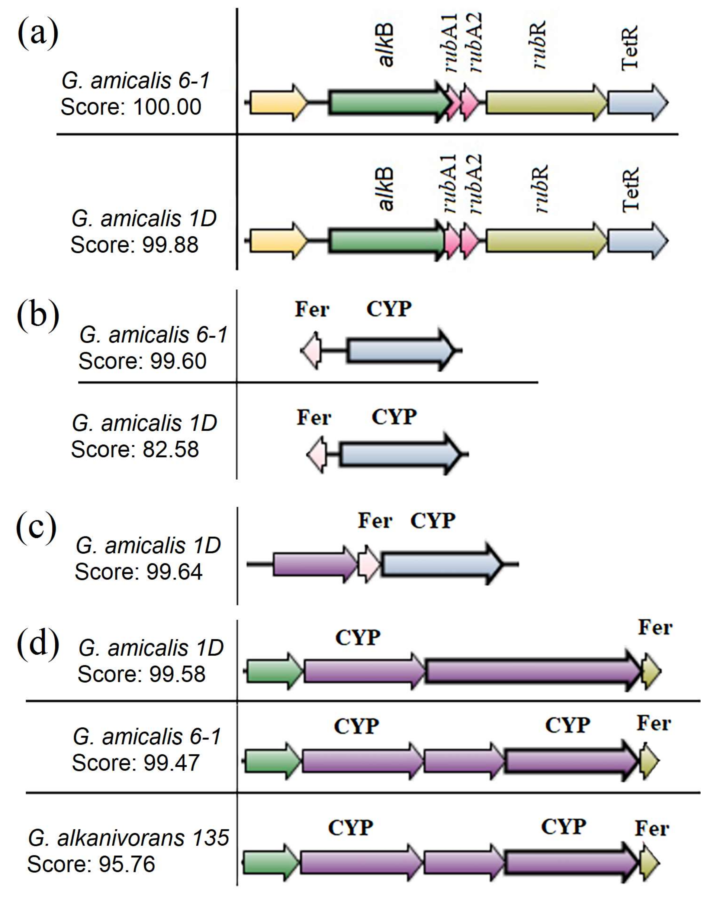 Microorganisms 11 00004 g004 Microorganisms 11 00004 g004