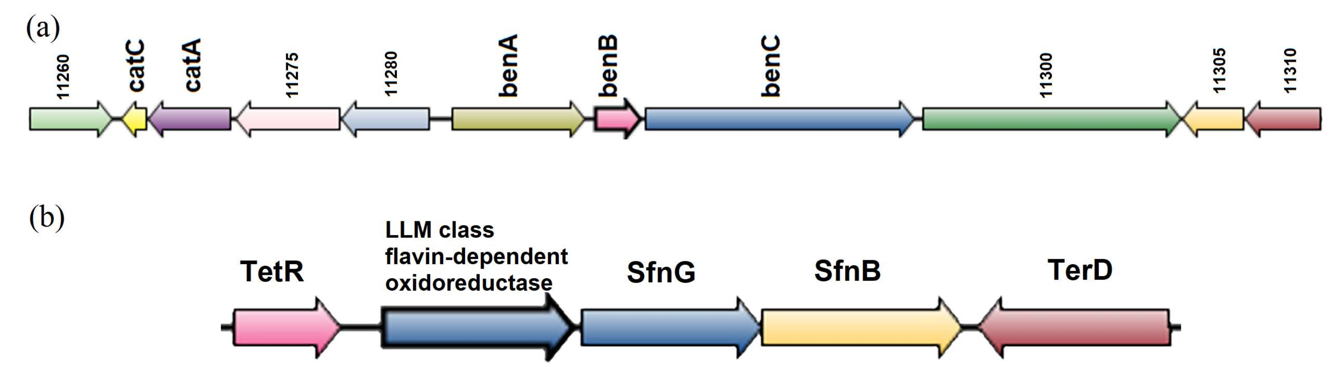 Microorganisms 11 00004 g005 Microorganisms 11 00004 g005