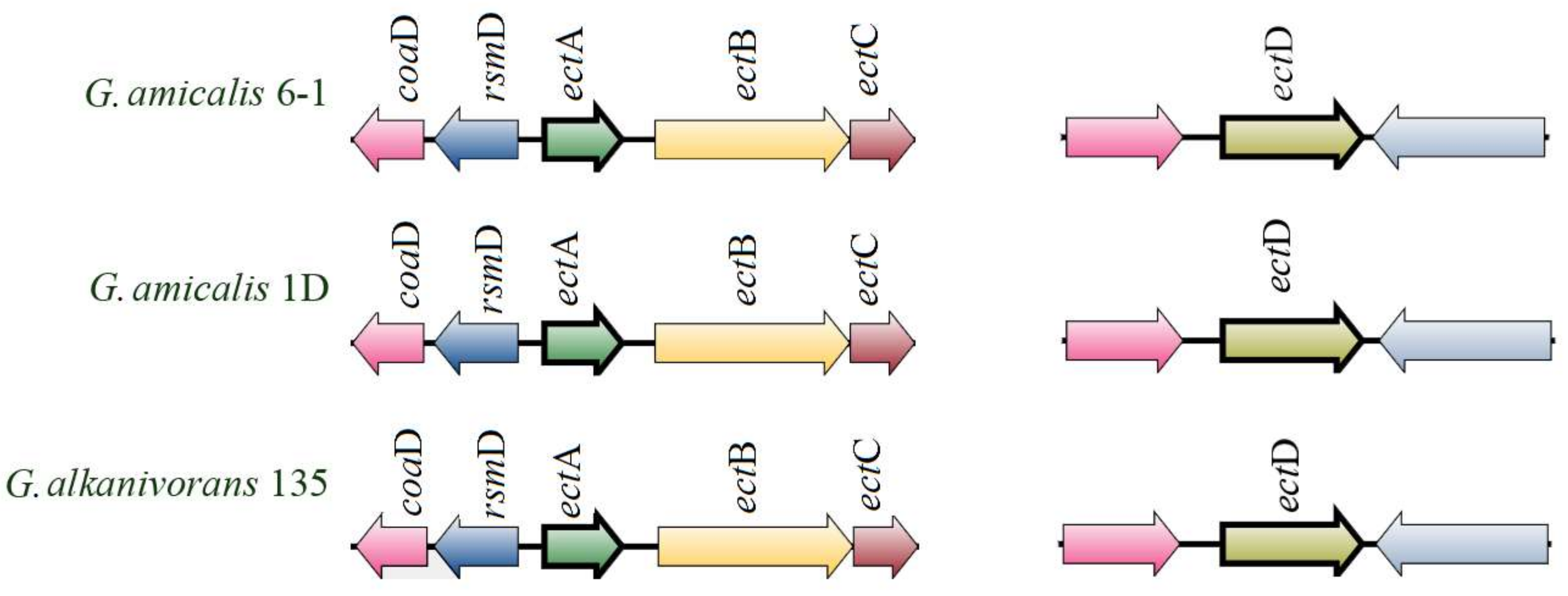 Microorganisms 11 00004 g006 Microorganisms 11 00004 g006