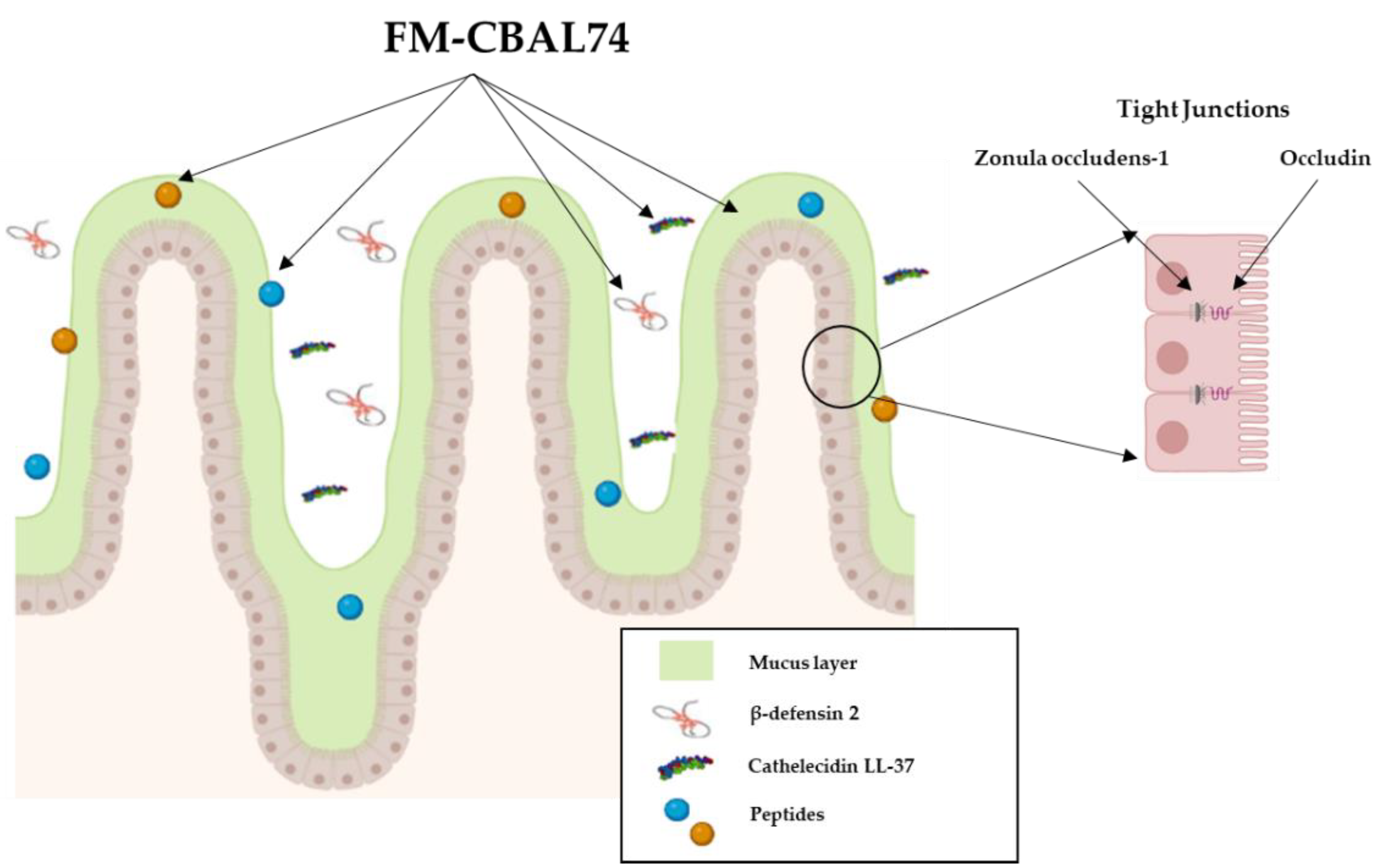 Microorganisms 11 00010 g004