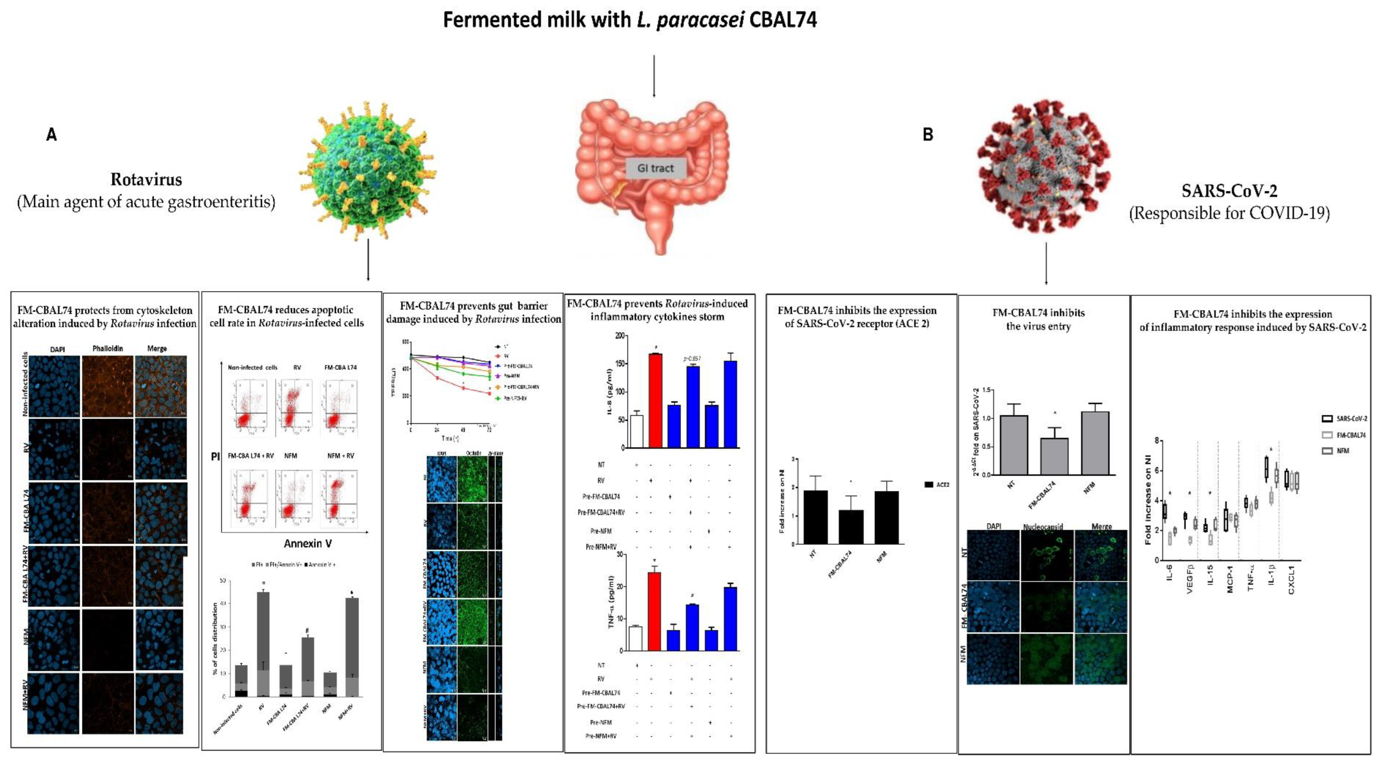 Microorganisms 11 00010 g005